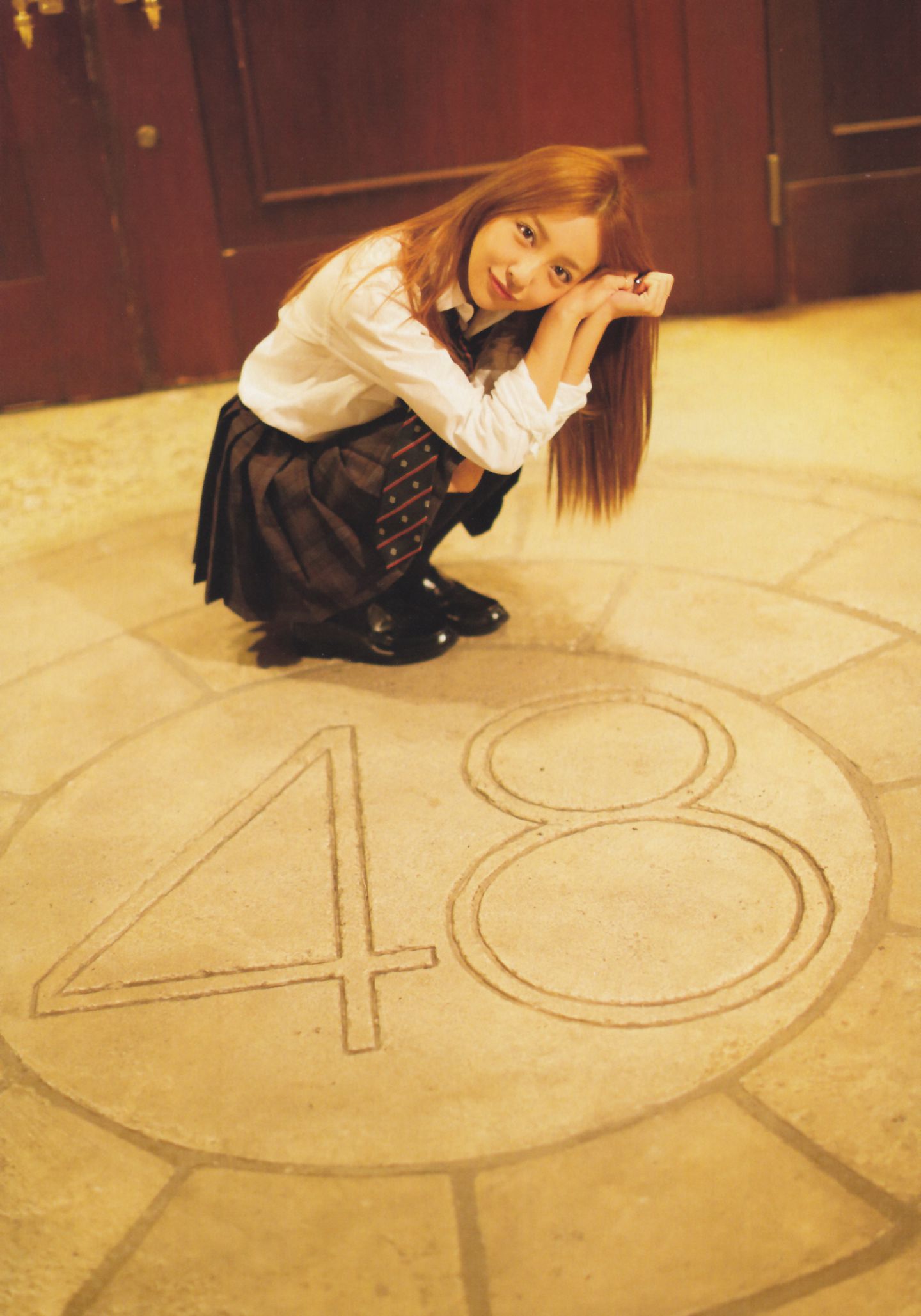 板野友美 AKB48卒業記念《Tomochin ともちん》