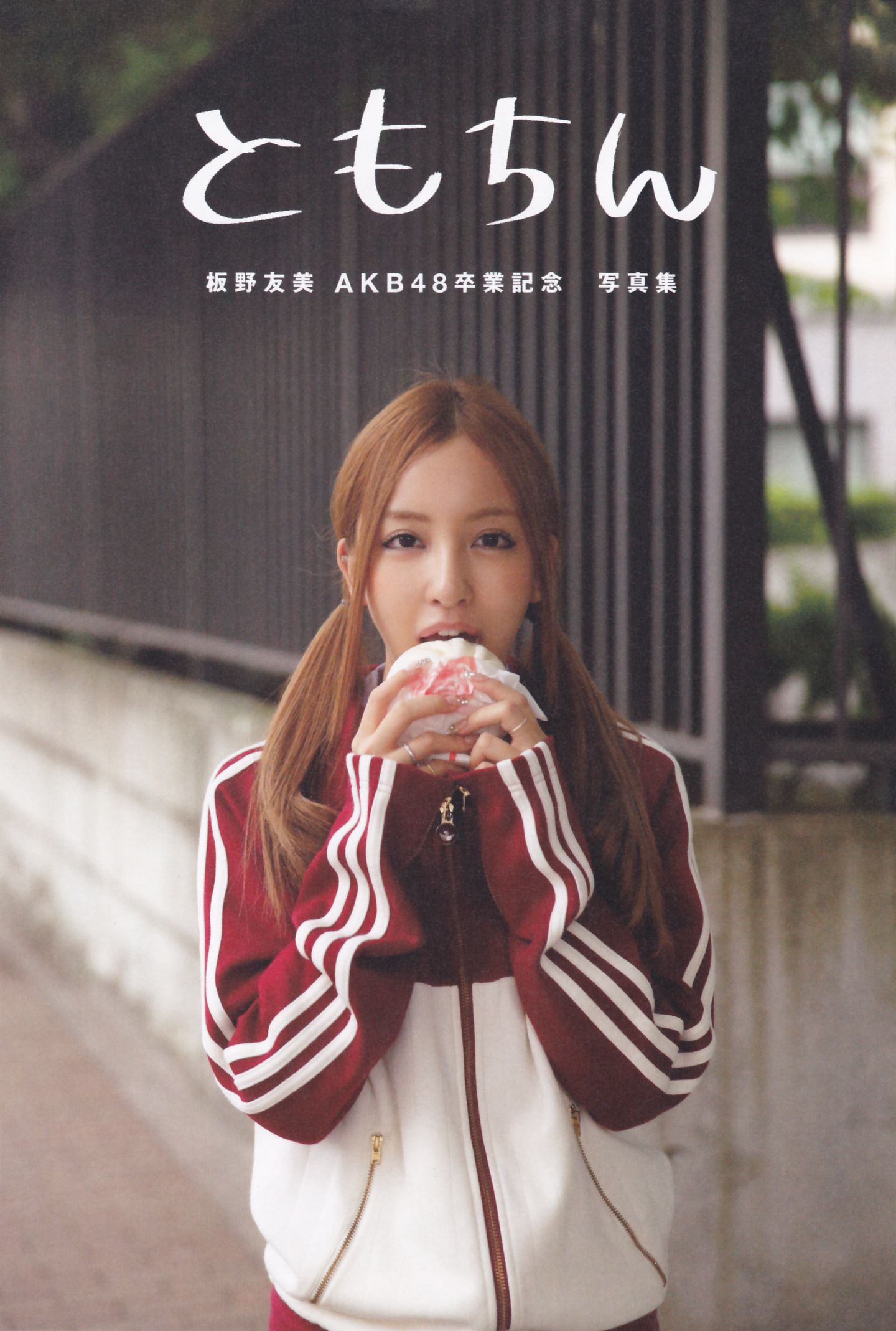 板野友美 AKB48卒業記念《Tomochin ともちん》