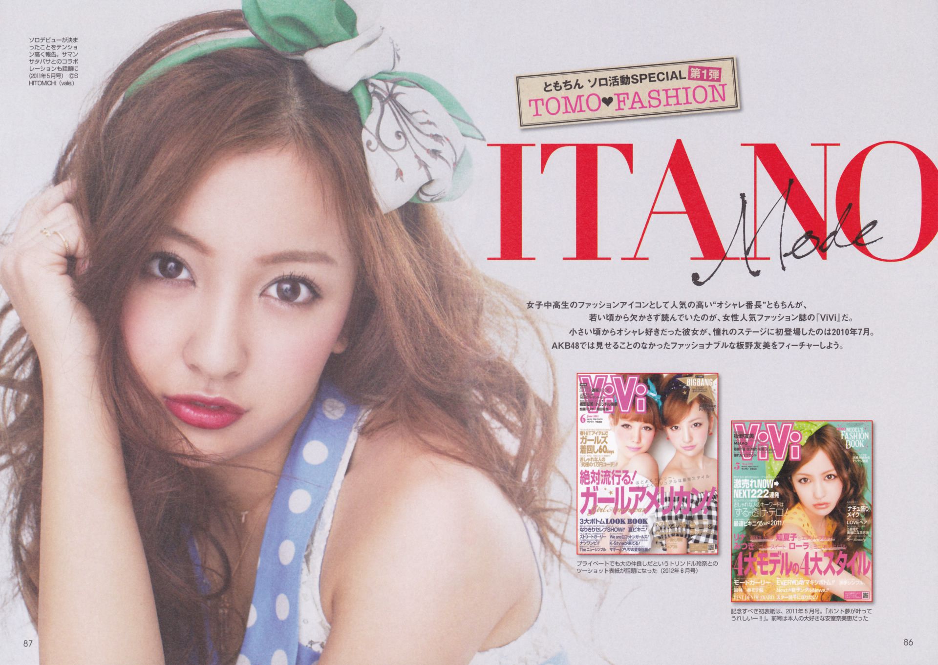 板野友美 AKB48卒業記念《Tomochin ともちん》