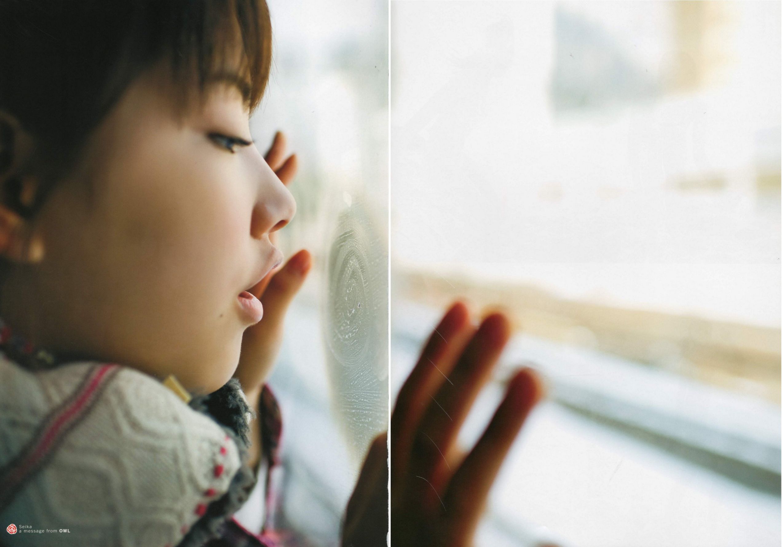 Seika Taketomi 竹富聖花 《A message from OWL》