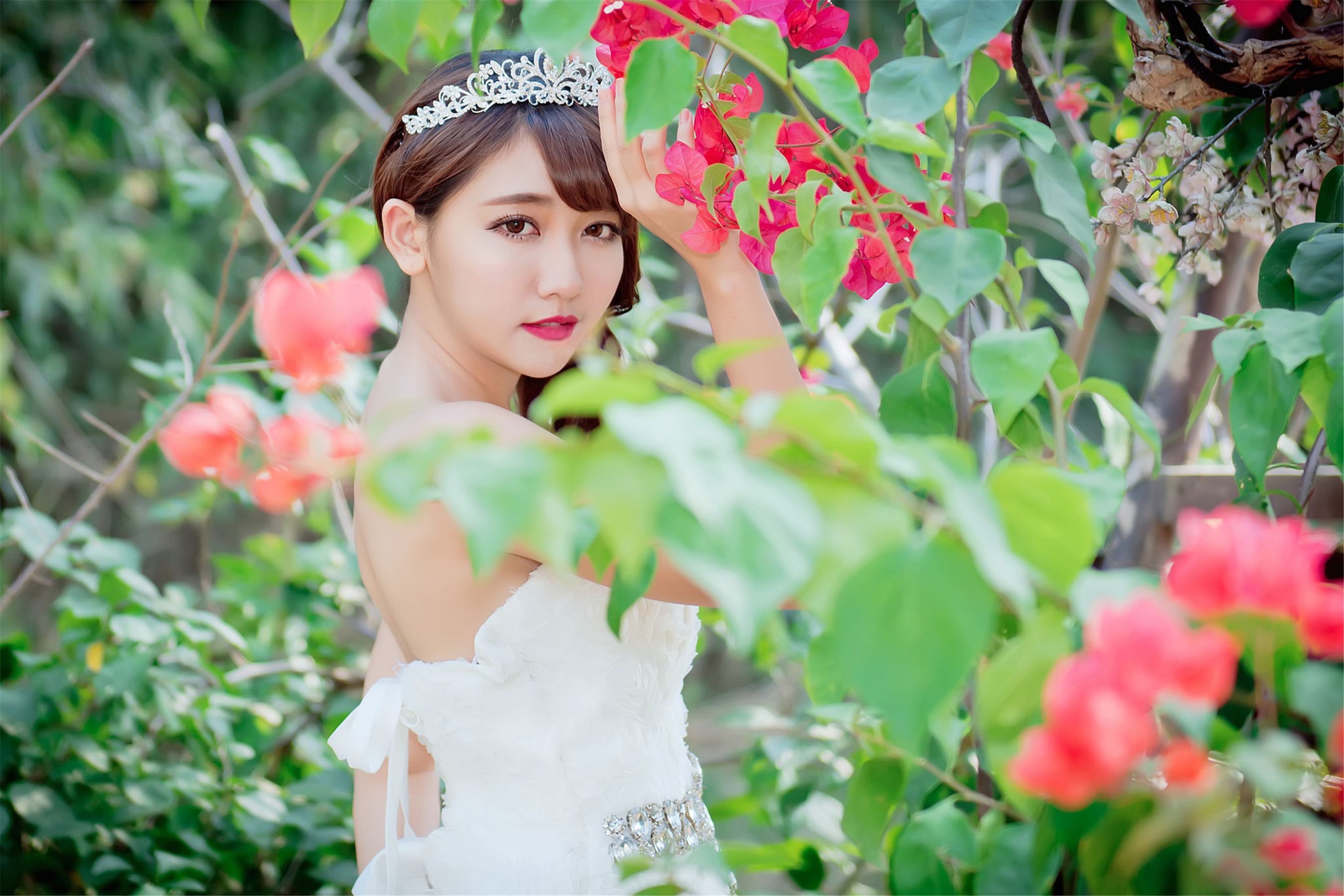 台湾女神许庆琳/许庆伶《绽放的玫瑰》