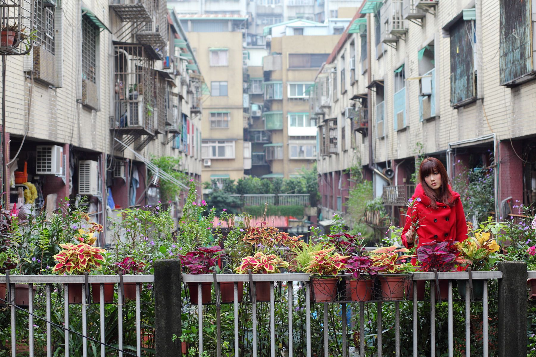 台湾模特Kila晶晶/金允乔《4组街拍系列图片》合集