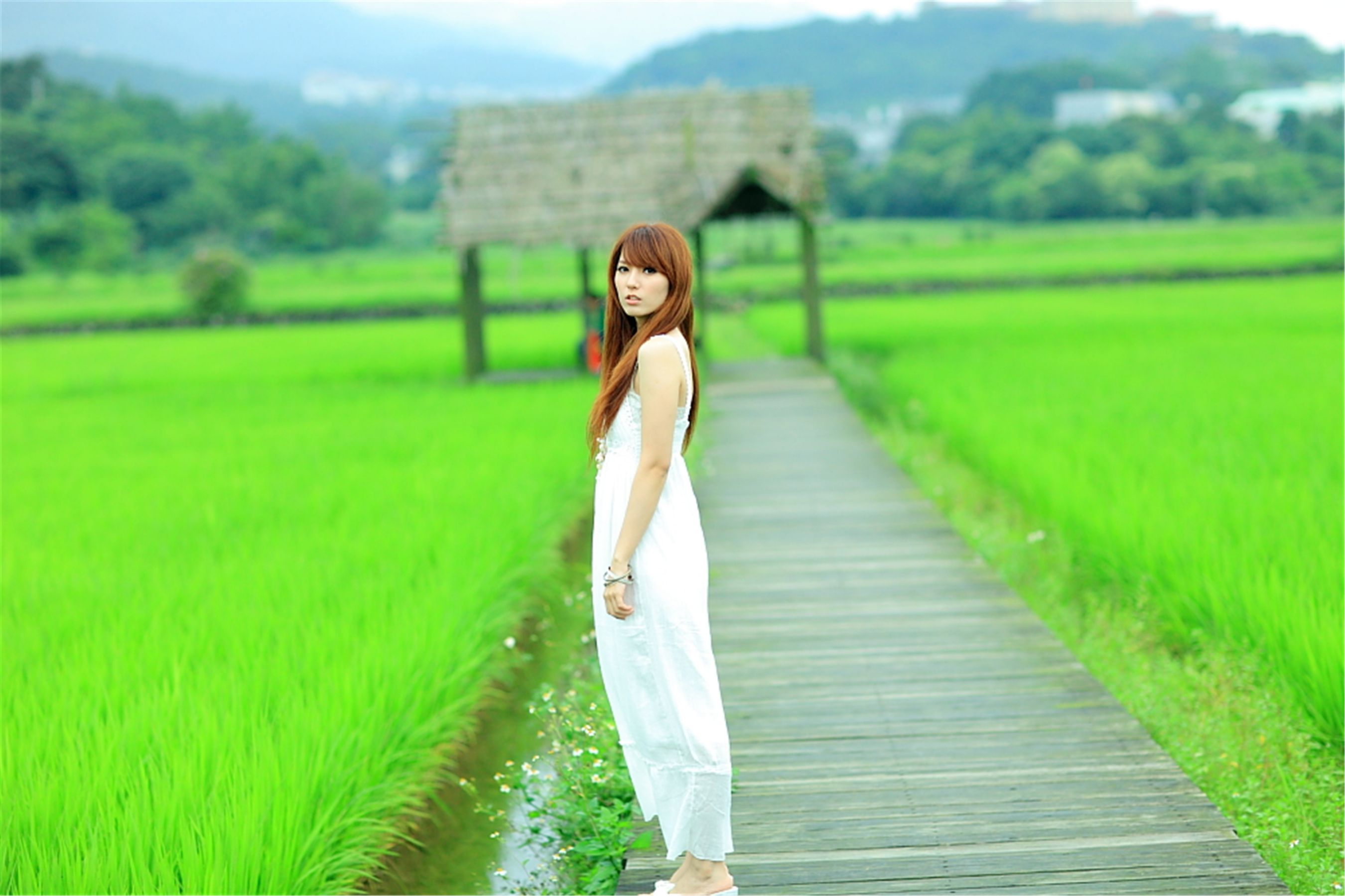 台湾正妹小静《农场初夏田园风光》唯美白裙系列