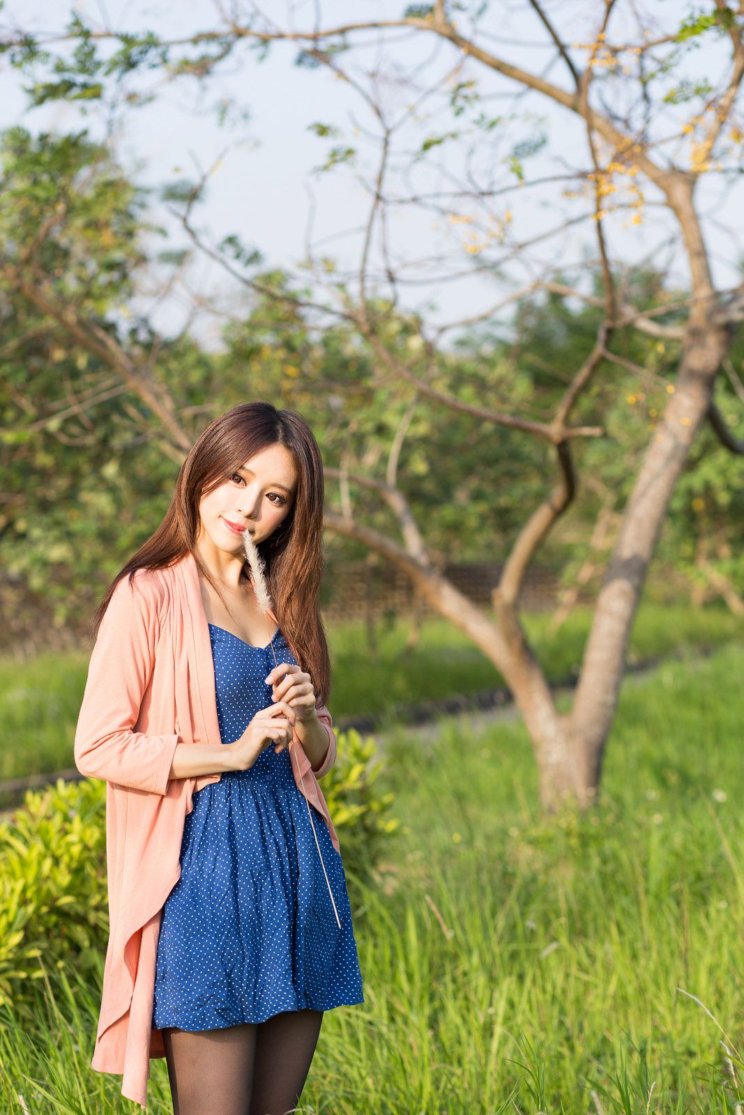 台湾女神张齐郡JULIE《踏青》
