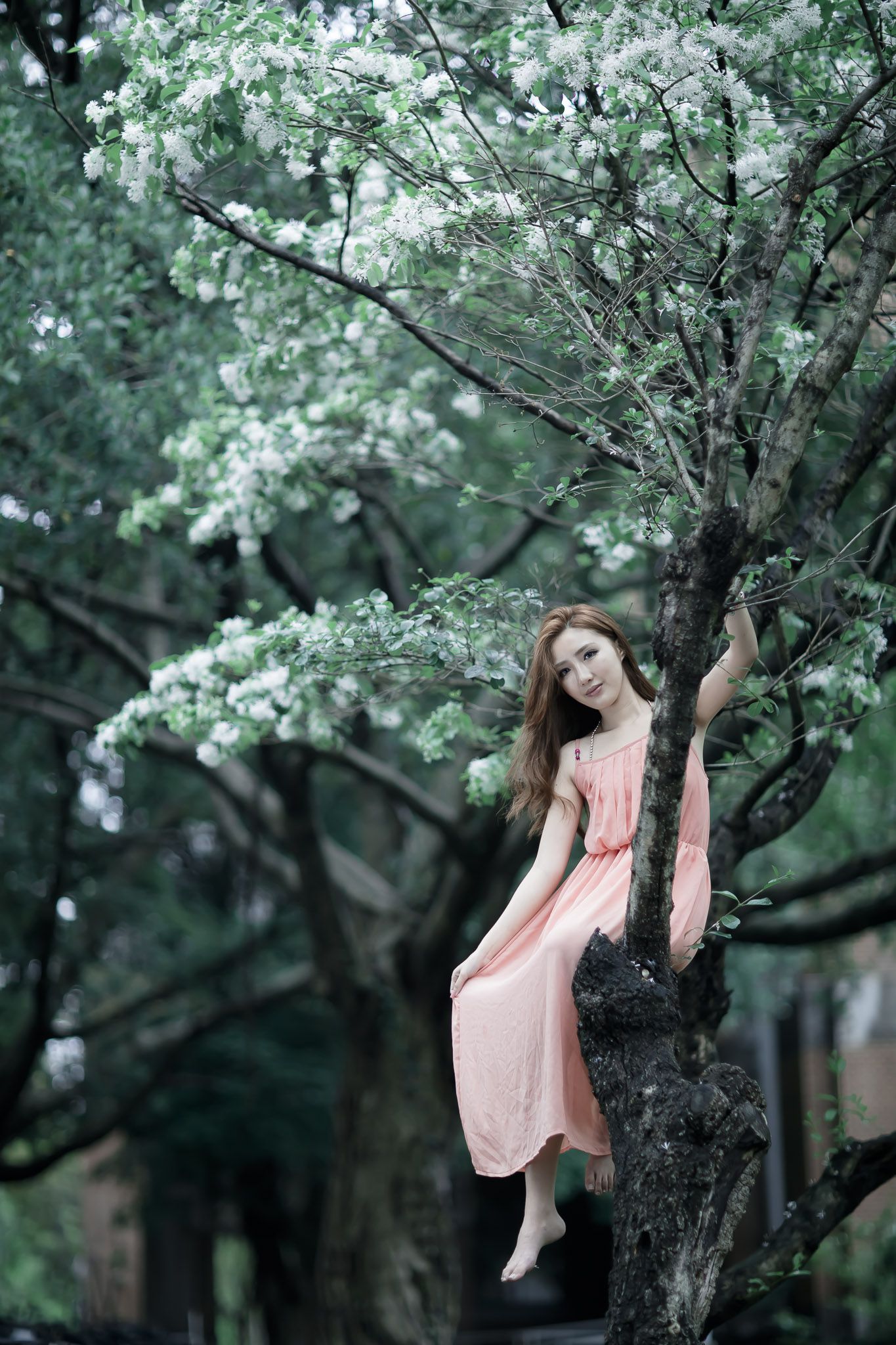 台湾女神Syuan赵芸《至善園》外拍