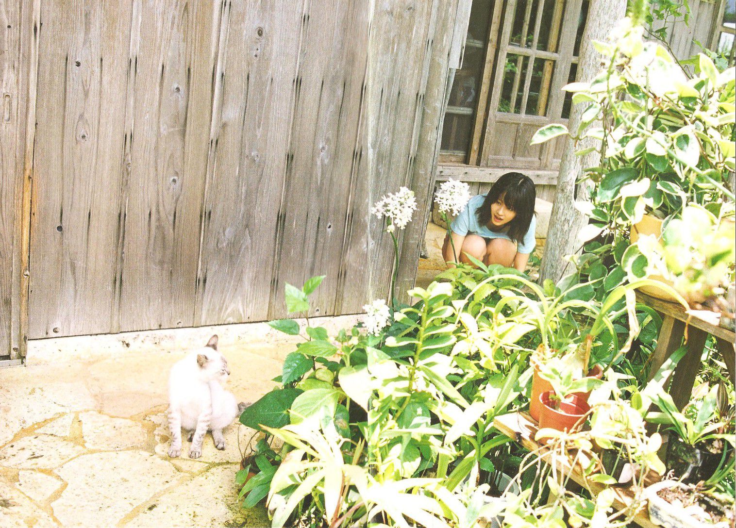 前田敦子 《Memorial》[PB]