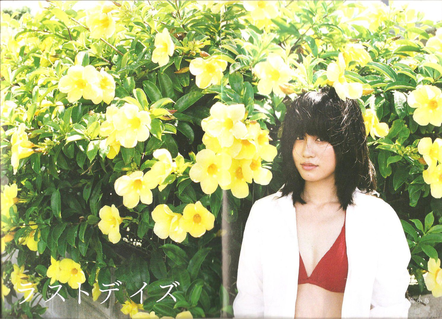 前田敦子 《Memorial》[PB]