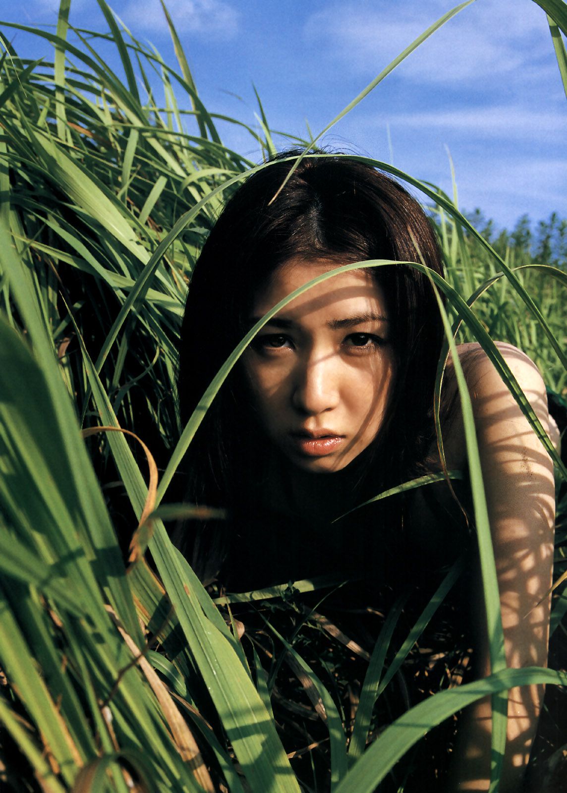 ATSUKO MIURA 三浦敦子 《HAJIME SAWATARI》[PB]