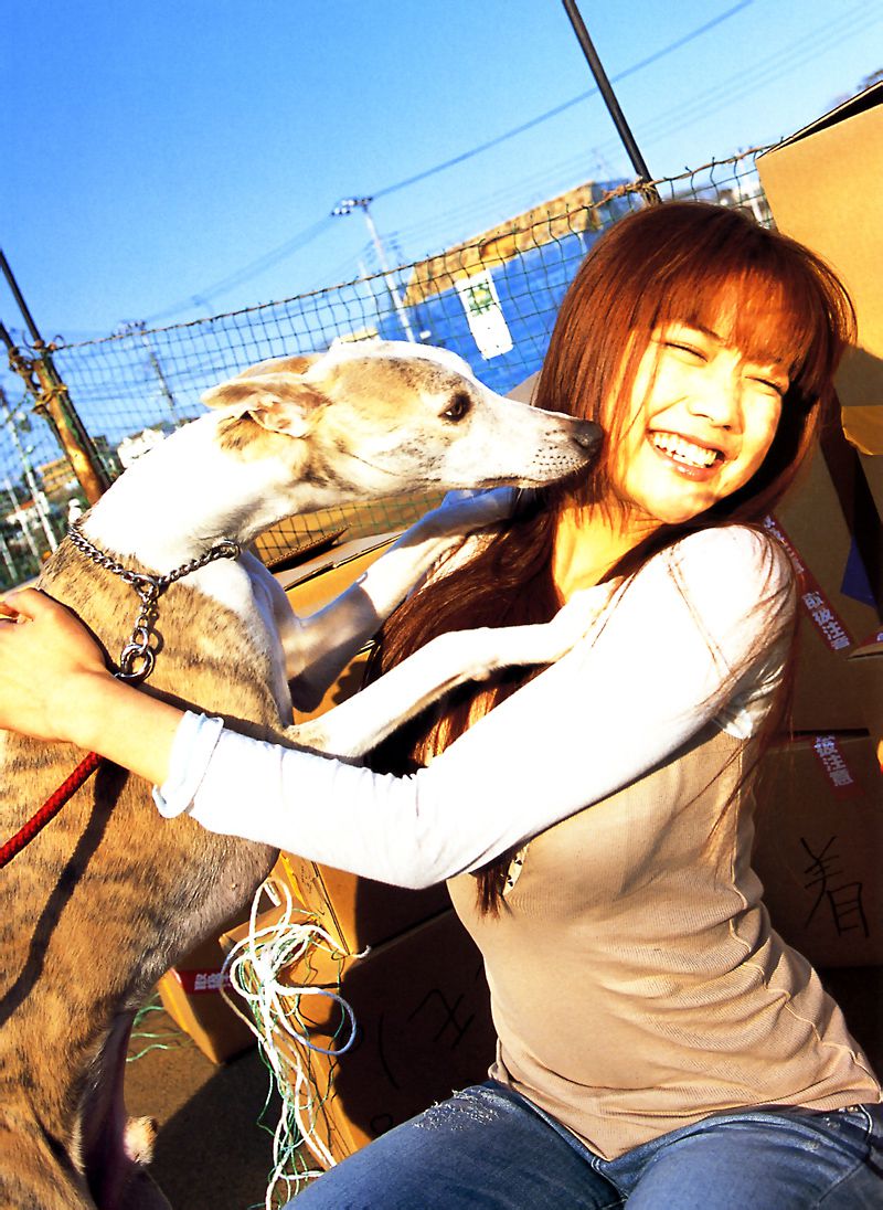 佐藤江梨子《おひっこし》 [Photo Book]