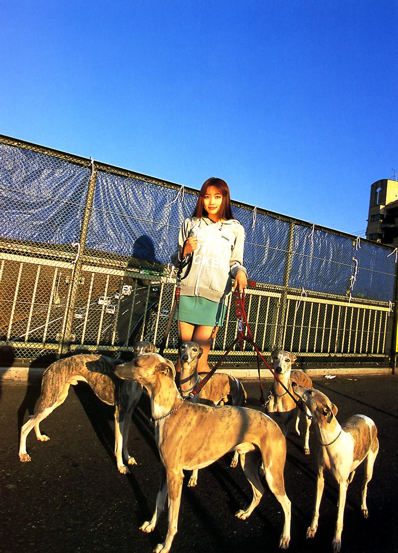 佐藤江梨子《おひっこし》 [Photo Book]