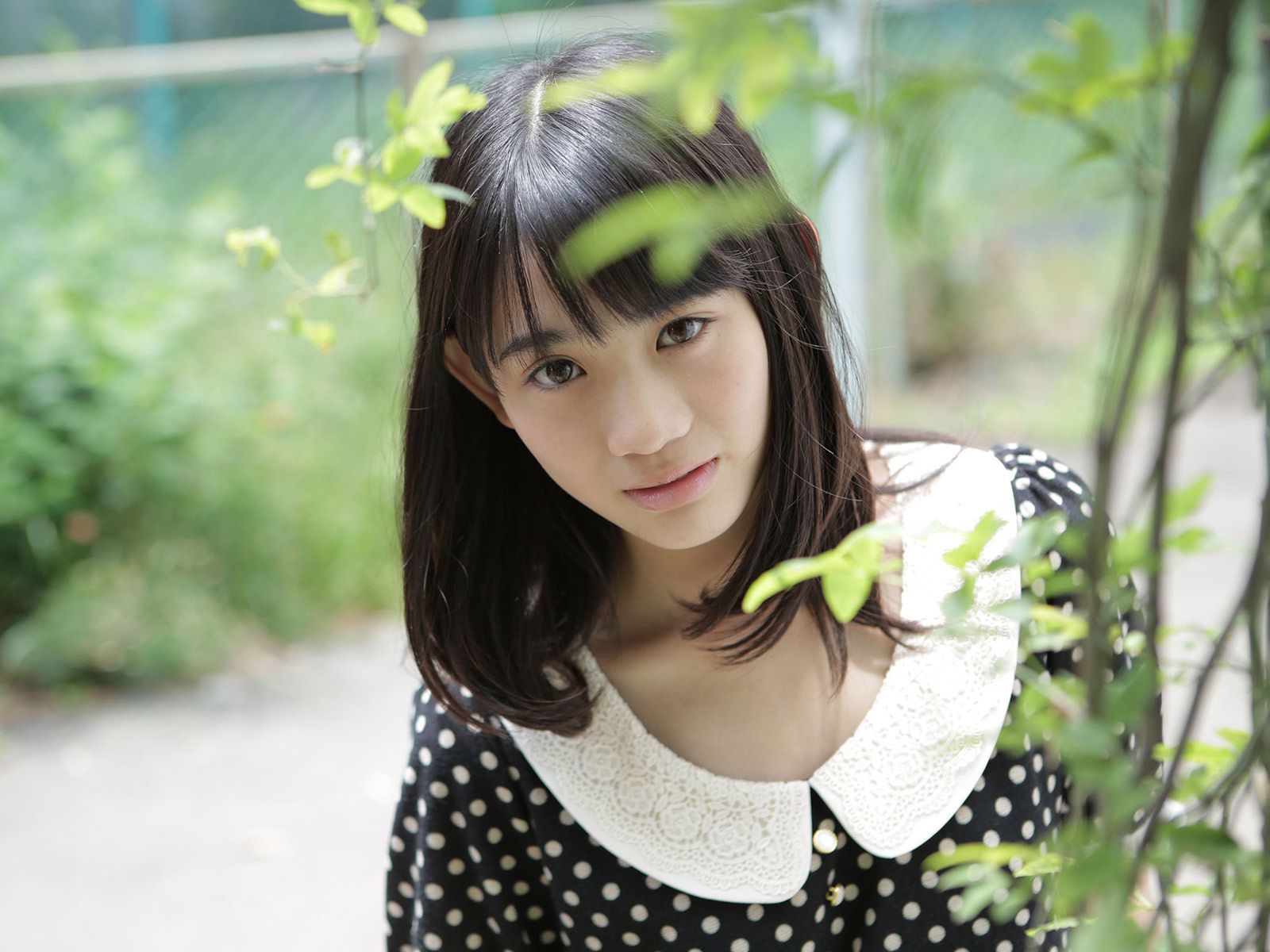 Honoka Akimoto 秋本帆華 《PROTO STAR》 [PB]