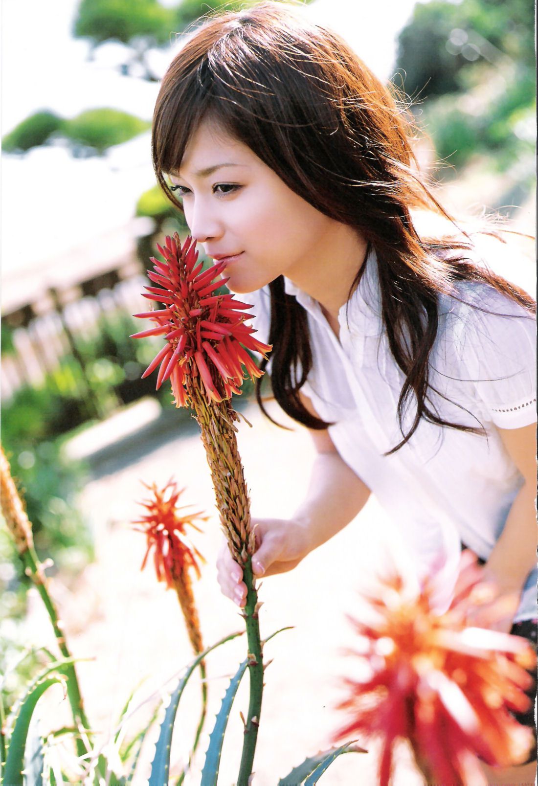 亀井絵里 《ERI》 [Photo Book]