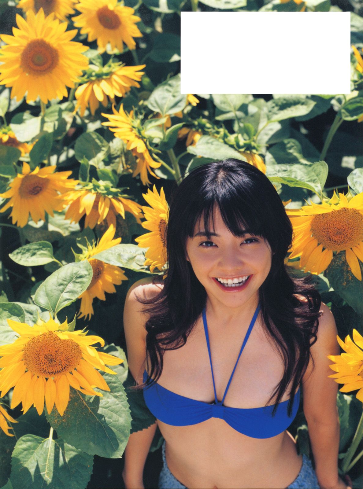 倉科カナ/仓科加奈 《Sunny Flower》 [PB]