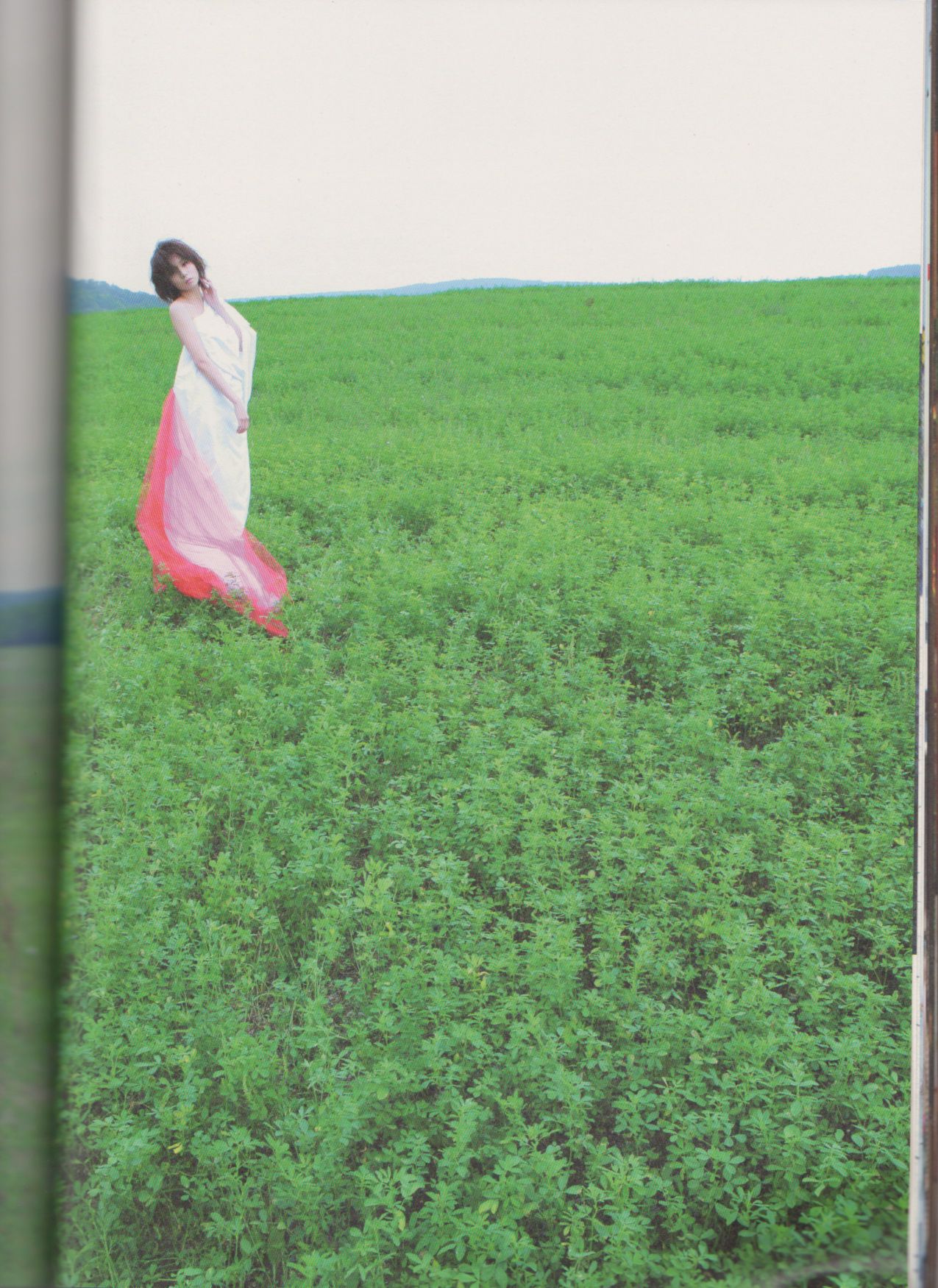 森カンナ/森宽和 《Pearl Road》 [PB]