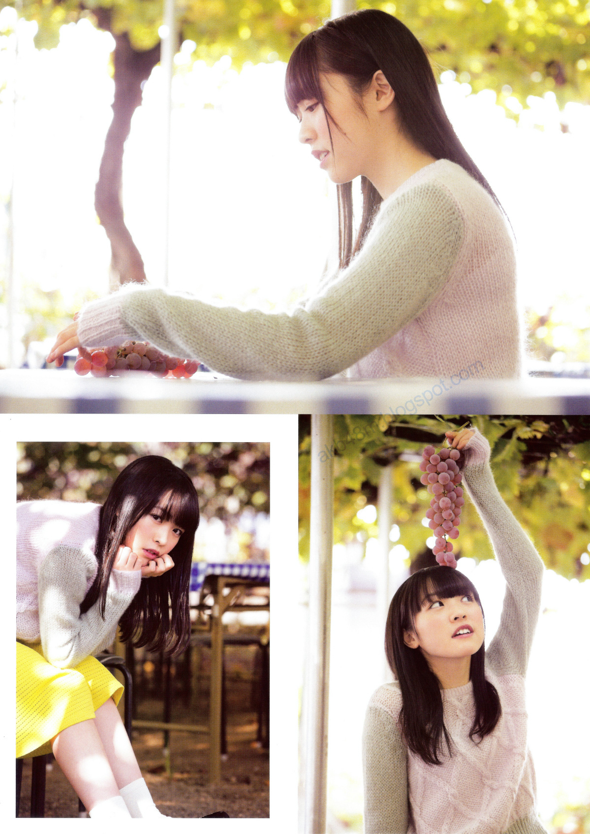 乃木坂46 《Winter 彩冬》 [PB 季刊