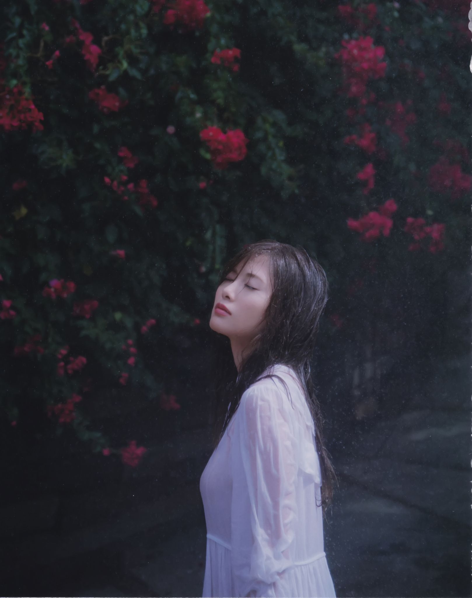 白石麻衣《パスポート》 [Photo Book]