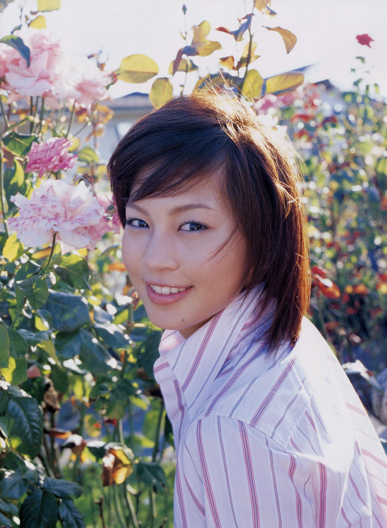 安田美沙子《別冊 Wild Fairy》 [PhotoBook]