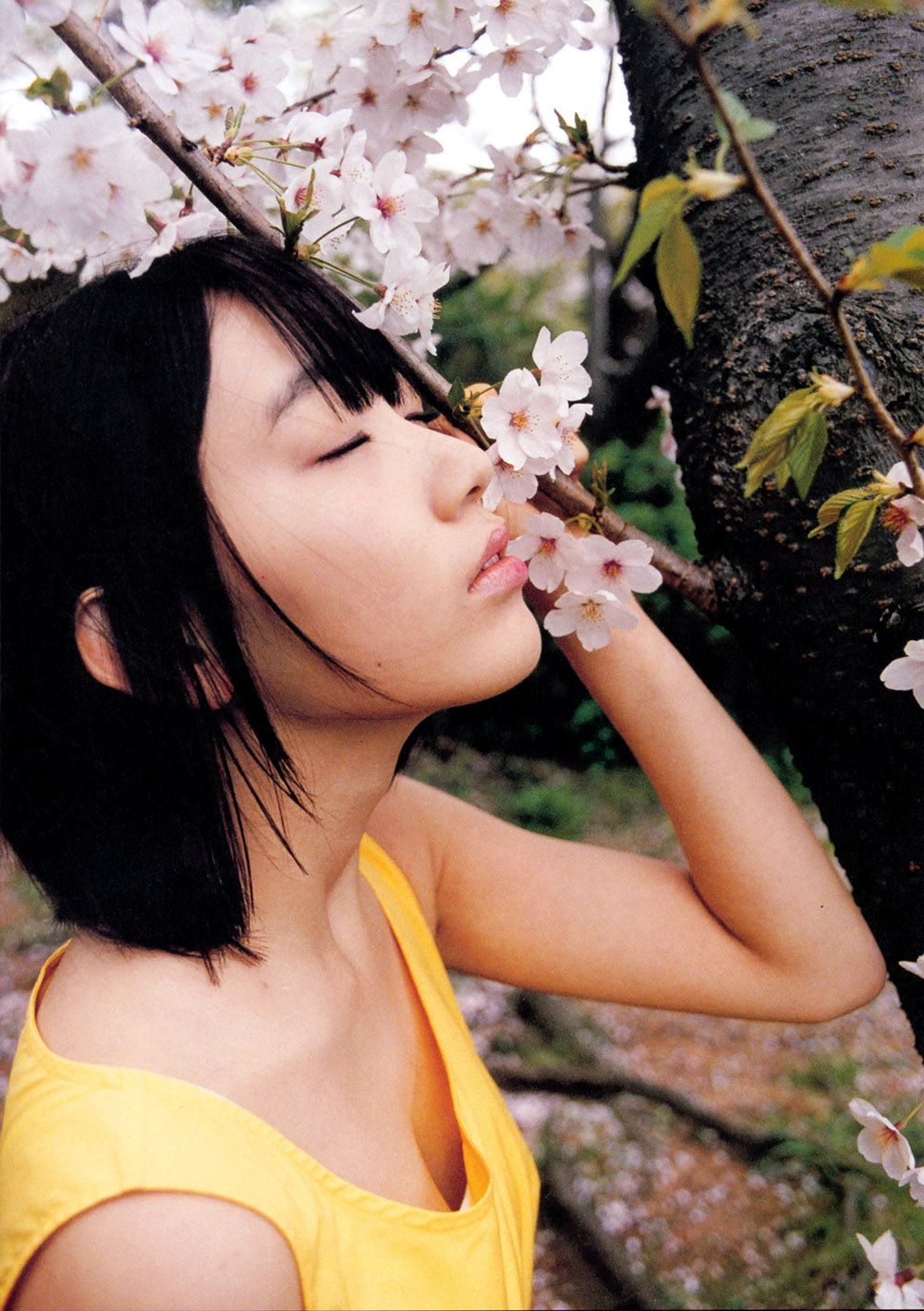 宮脇咲良/宫胁咲良《Sakura》 [PB]