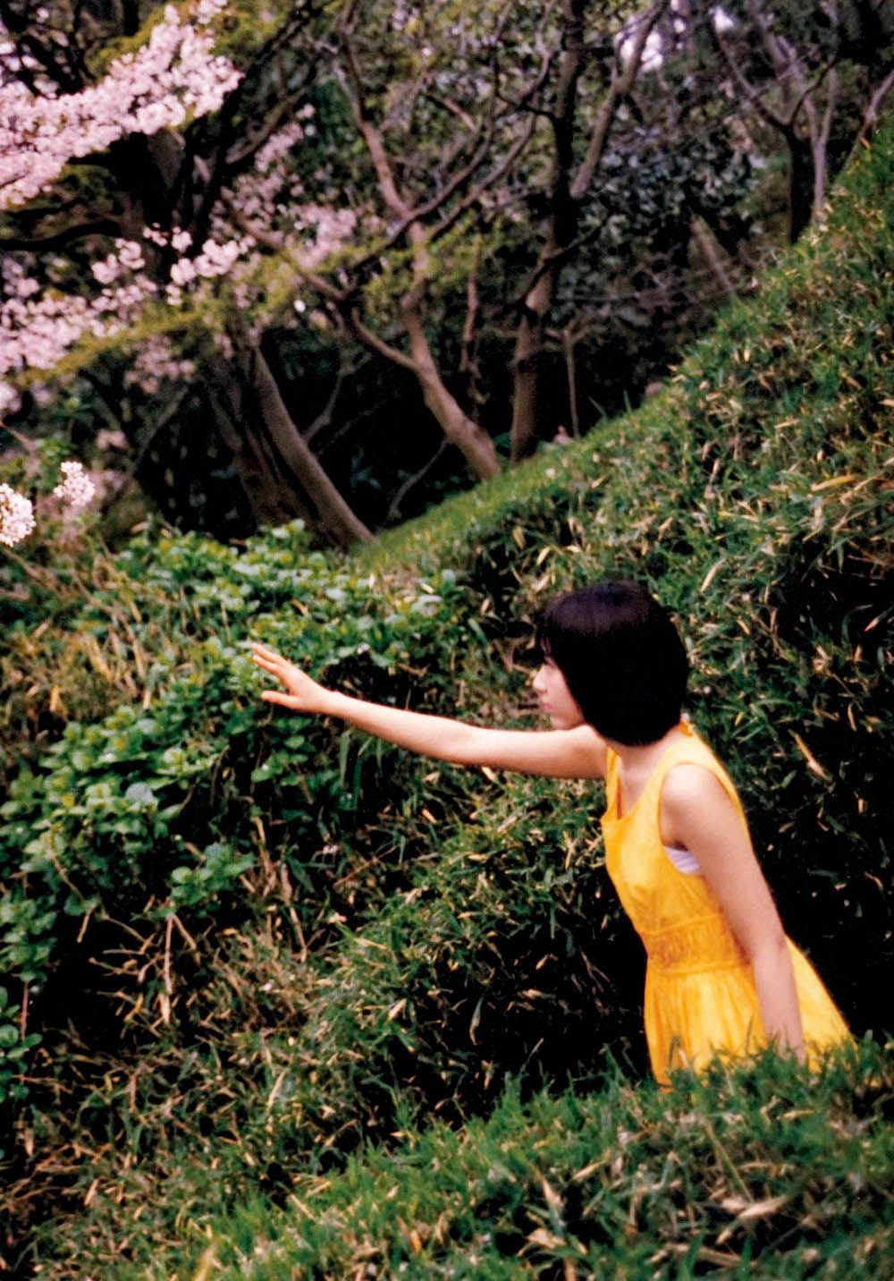 宮脇咲良/宫胁咲良《Sakura》 [PB]