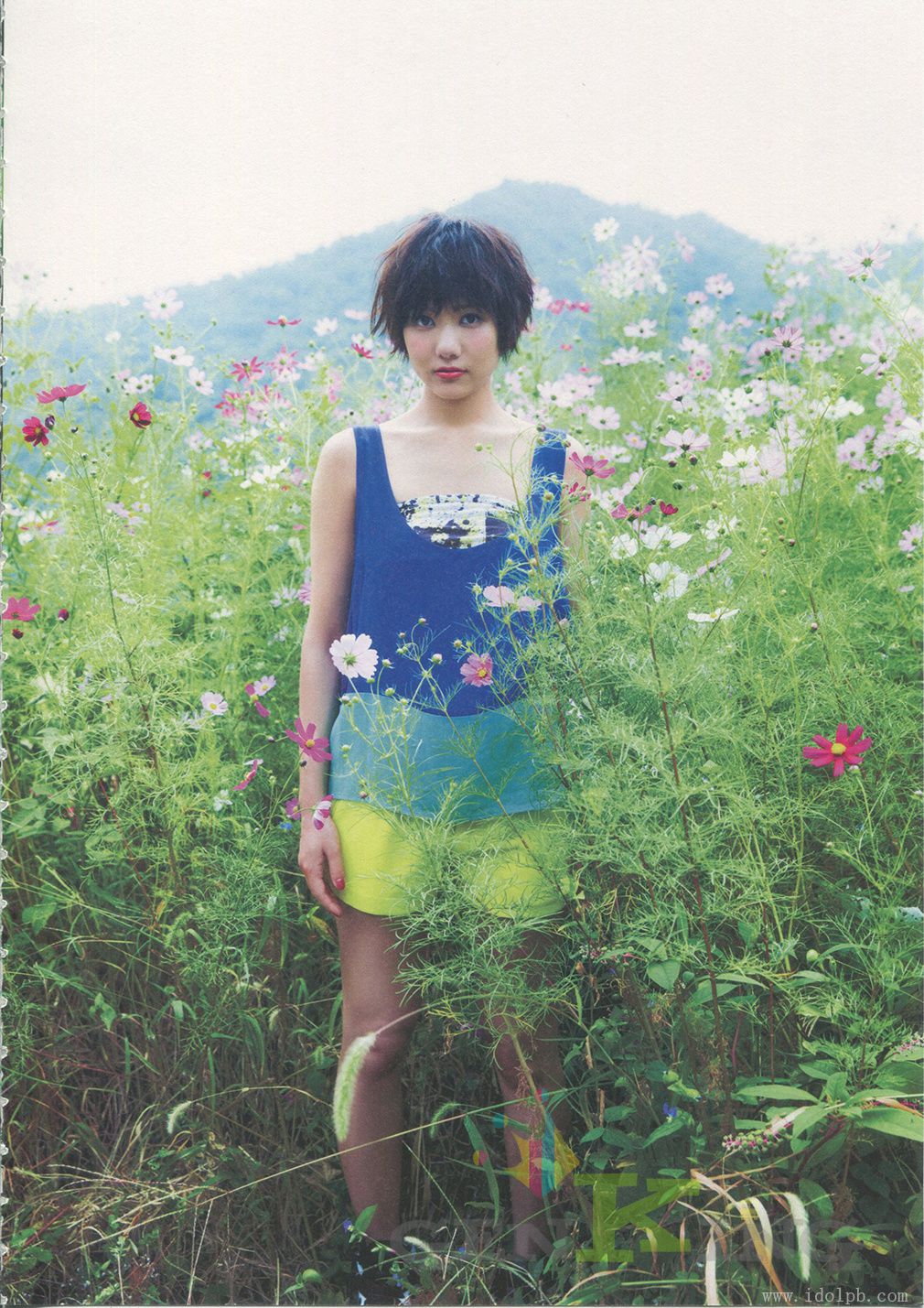 宫泽佐江《Namida No Yukue》Chinese Translation [PB]