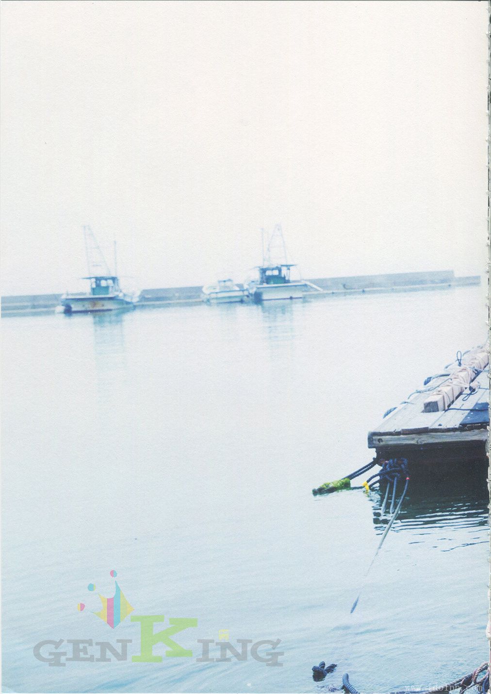 宫泽佐江《Namida No Yukue》Chinese Translation [PB]
