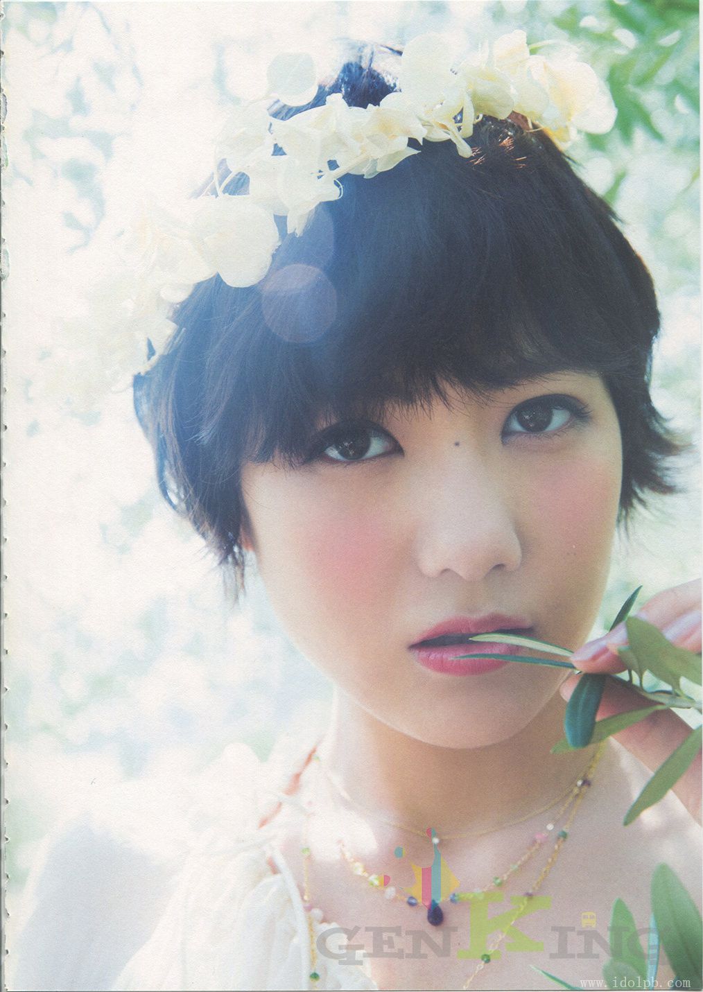 宫泽佐江《Namida No Yukue》Chinese Translation [PB]