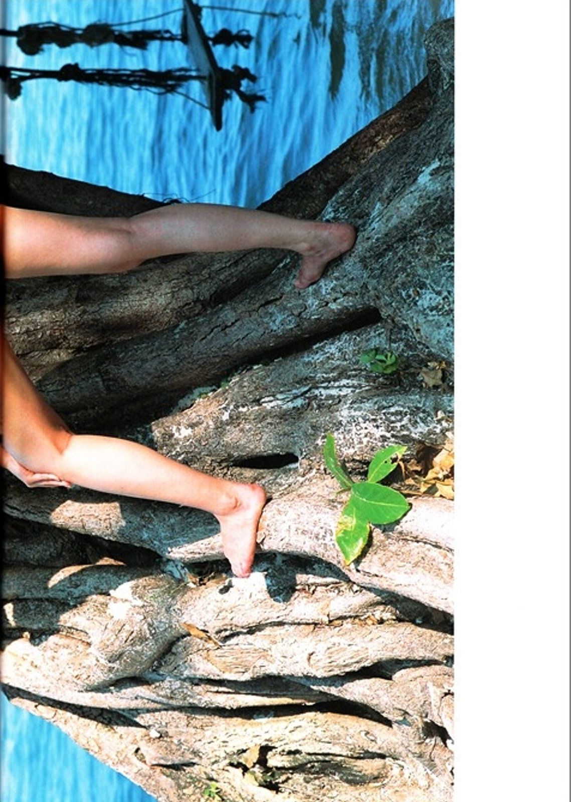 Rei Okamoto 岡本玲 《OKAMO》 [PhotoBook]