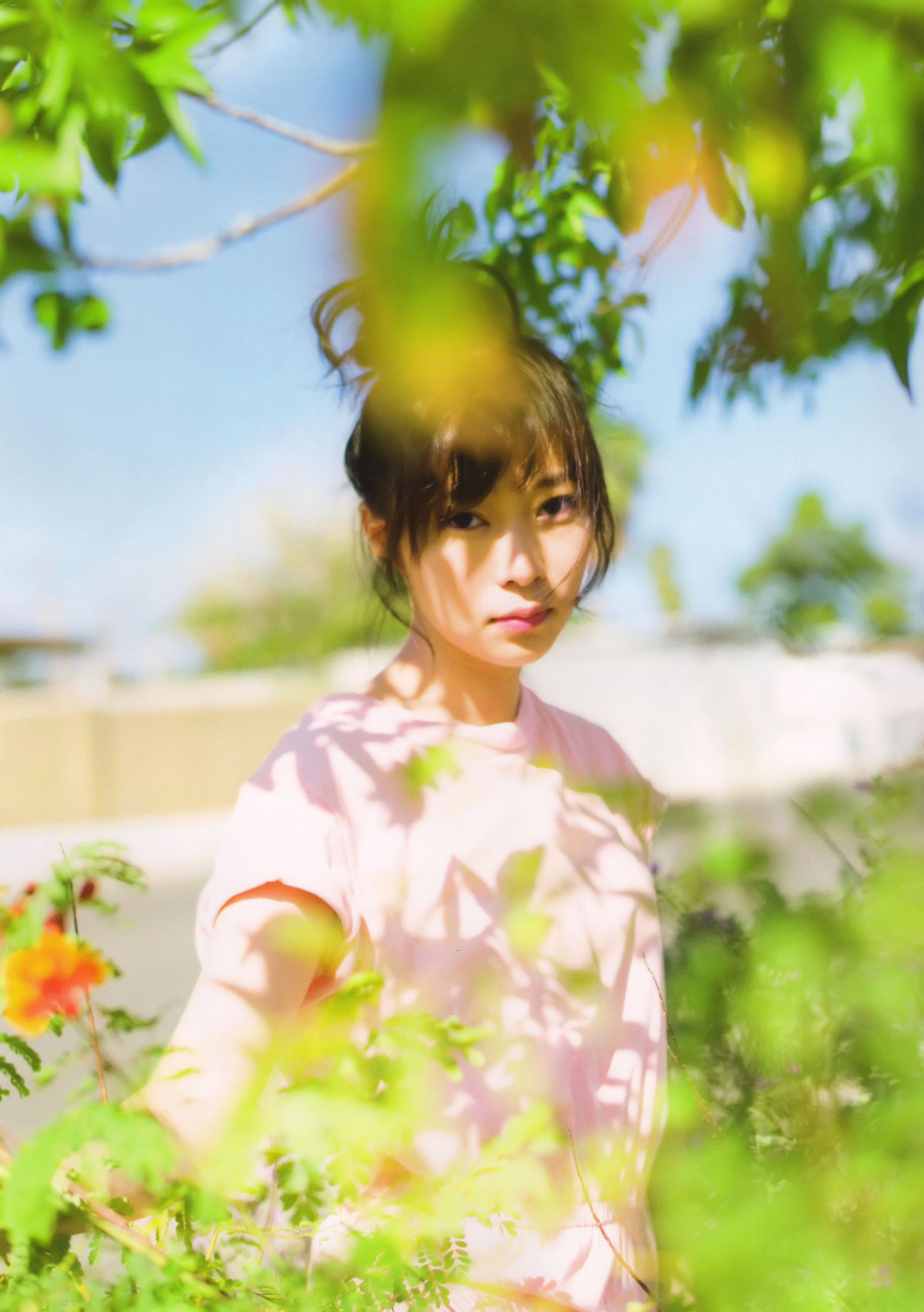 指原莉乃 《スキャンダル中毒》 [PB]