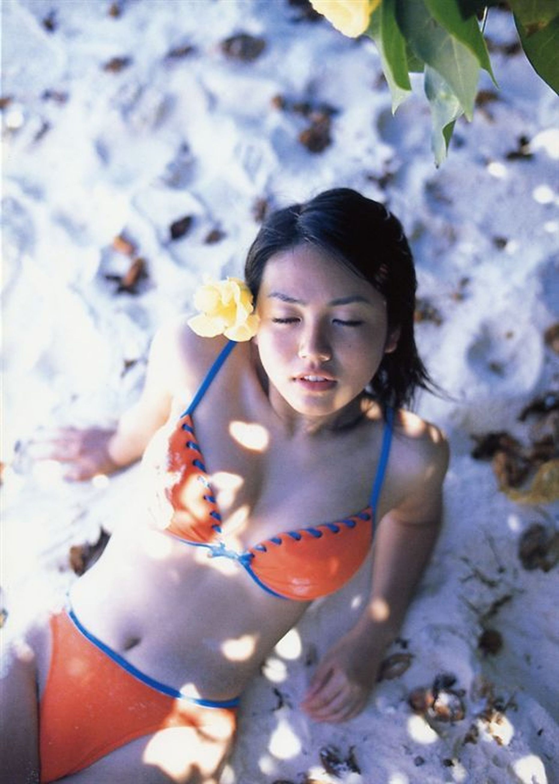 磯山さやか 《Pre Pri‐17》ファースト  [Photo Book]