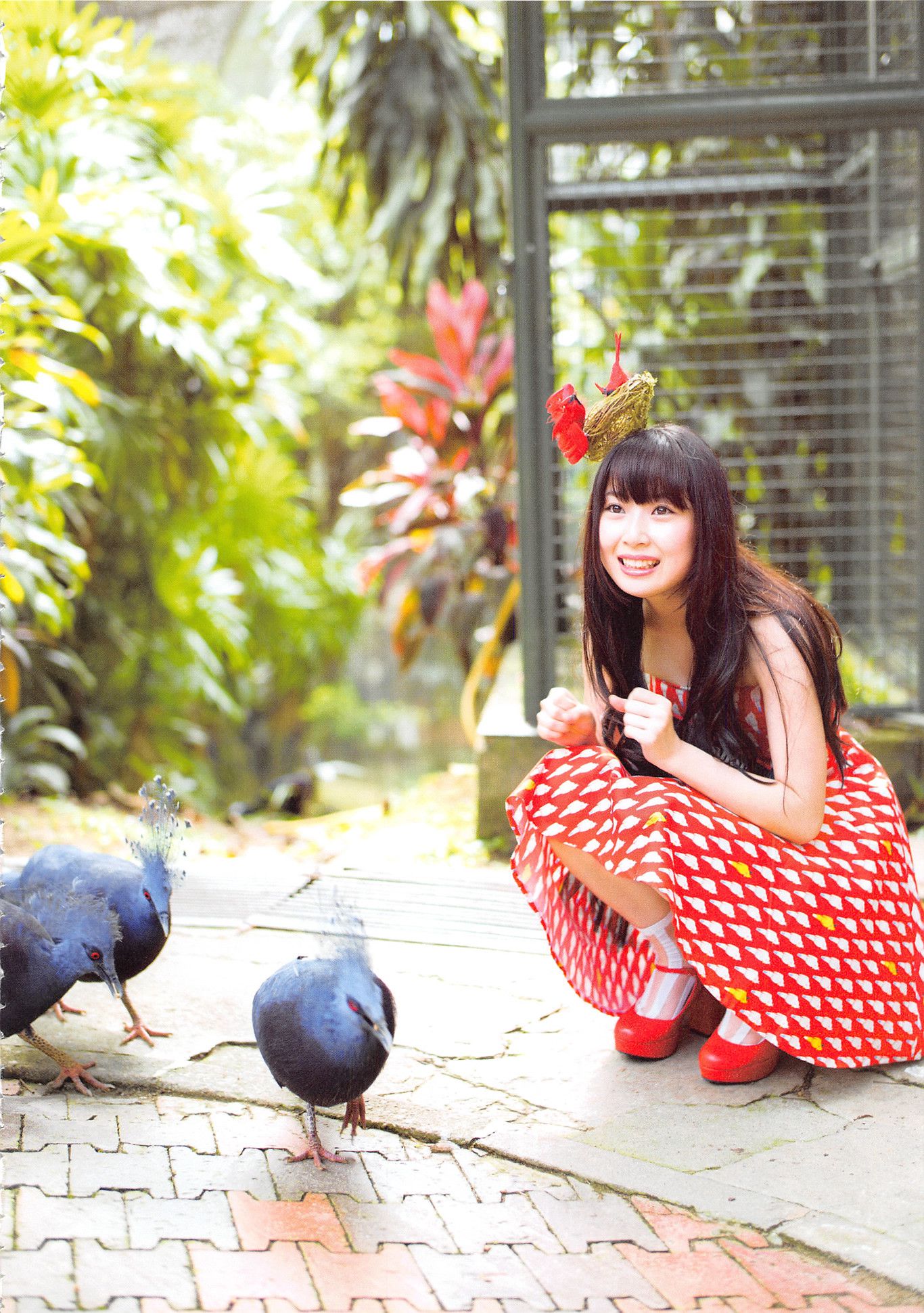 高柳明音《Churi》 [Photobook]