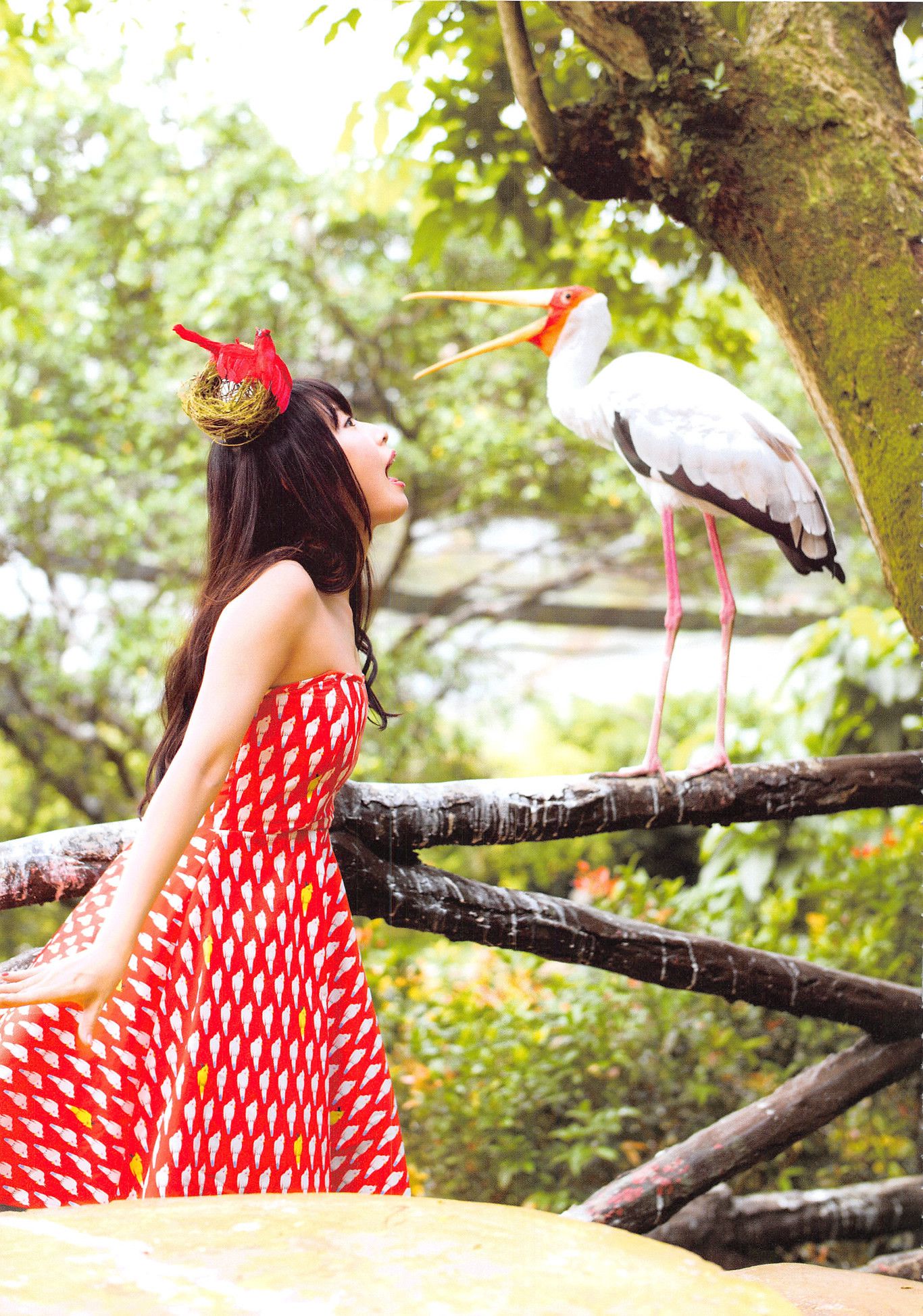 高柳明音《Churi》 [Photobook]