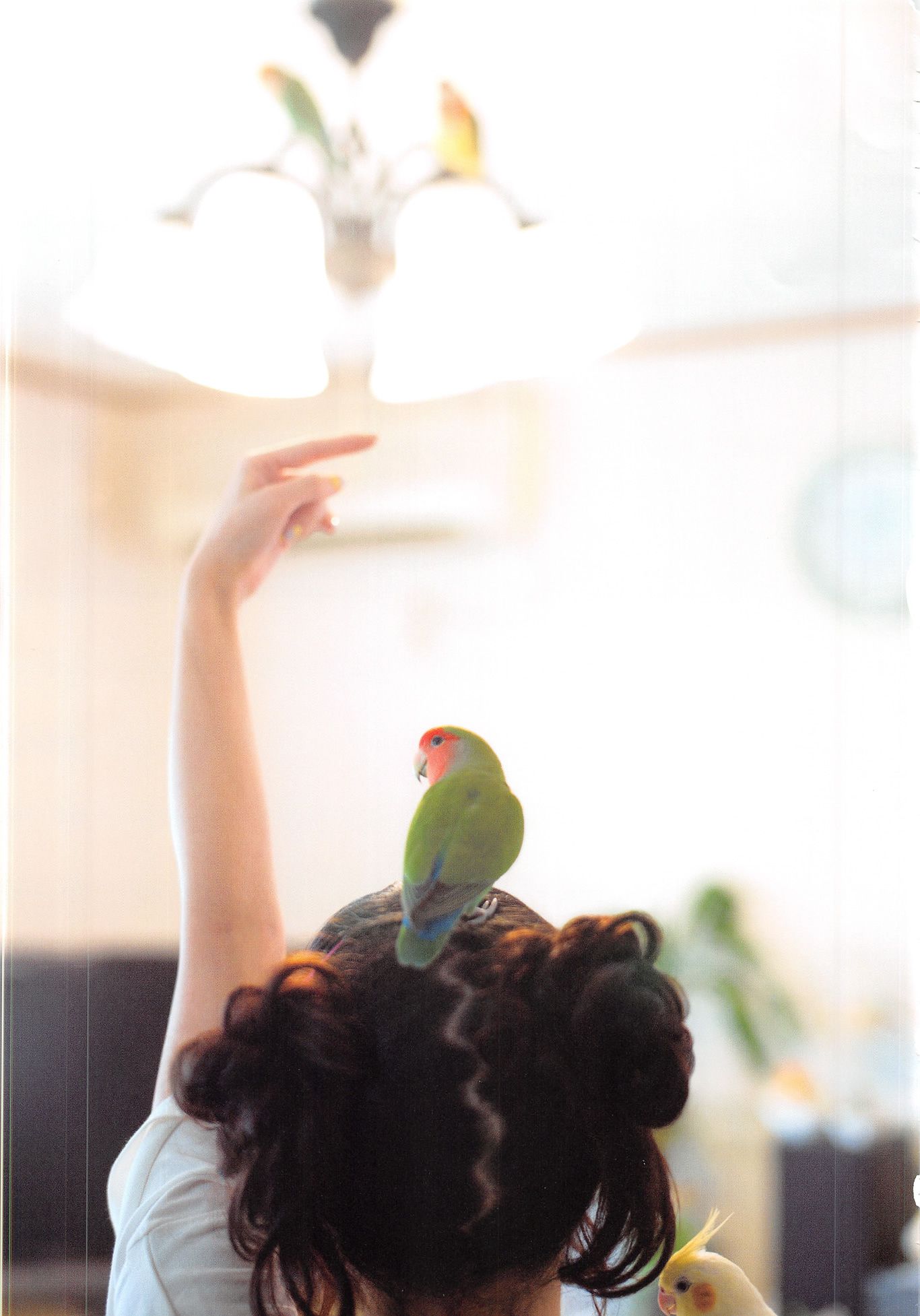 高柳明音《Churi》 [Photobook]