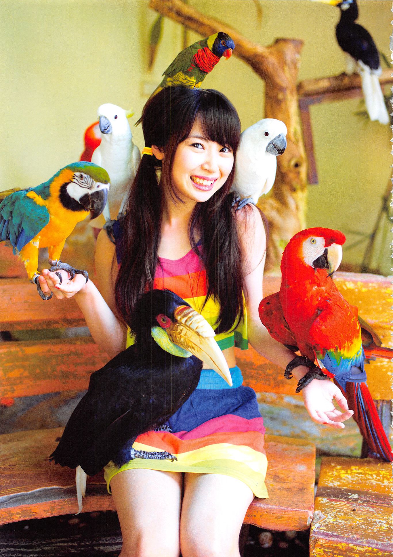 高柳明音《Churi》 [Photobook]