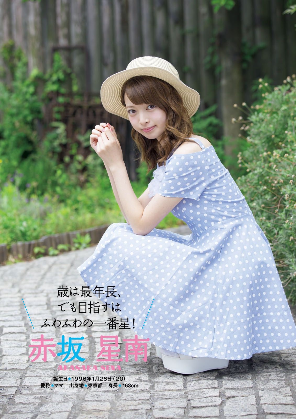 [Photo Book] ふわふわ 《ふわふわです》
