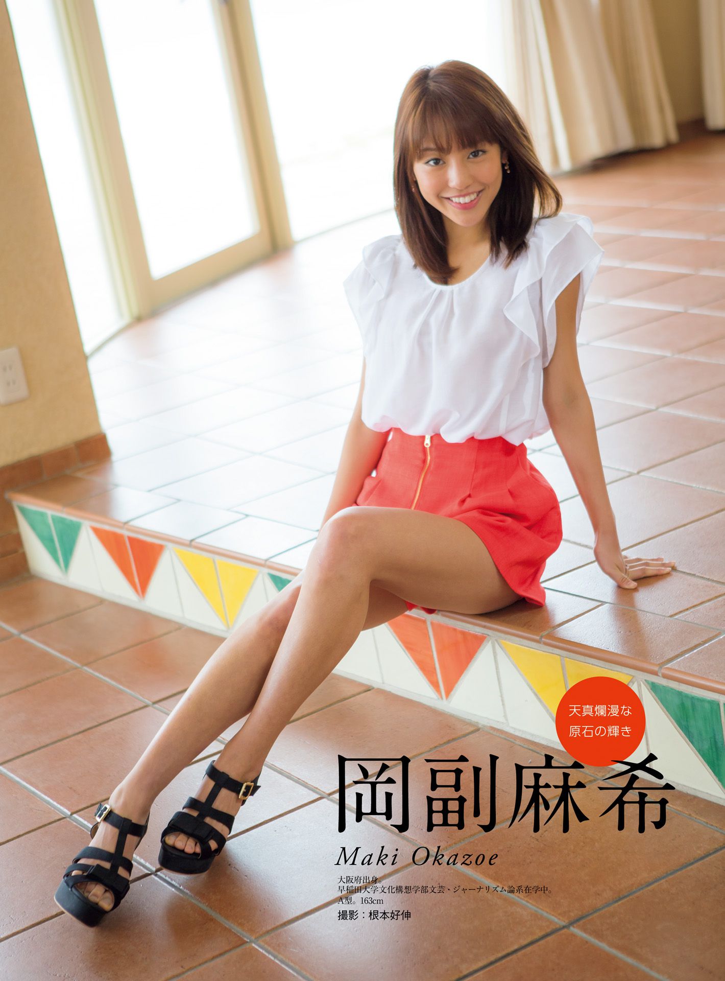 皆藤愛子/小林麻耶/岡副麻希/美馬怜子《原色美人キャスター大図鑑2015》 [PB]