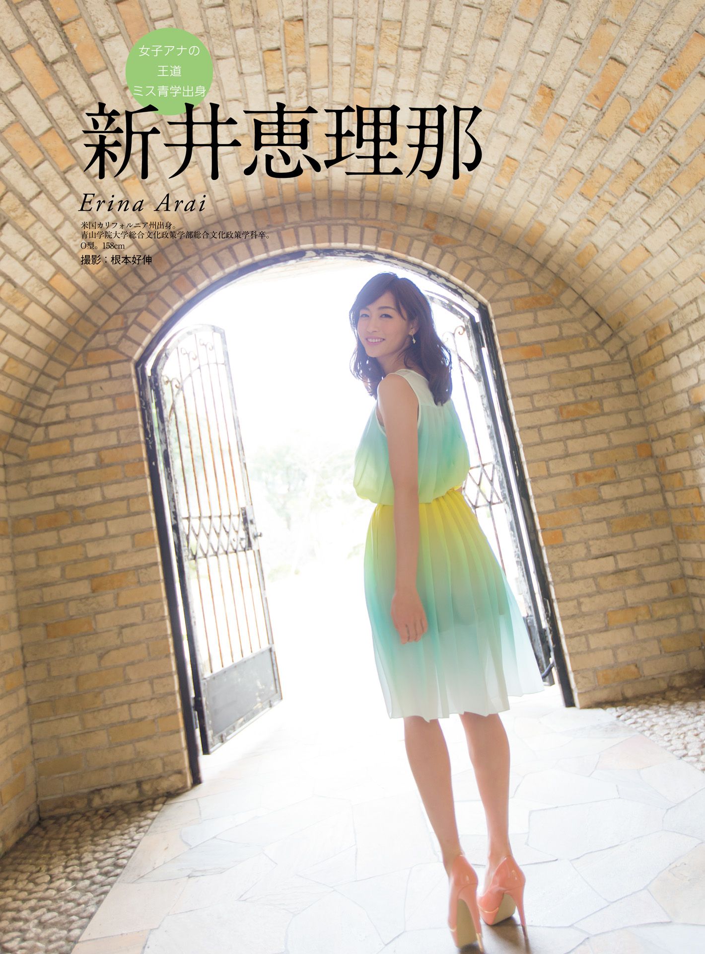 皆藤愛子/小林麻耶/岡副麻希/美馬怜子《原色美人キャスター大図鑑2015》 [PB]