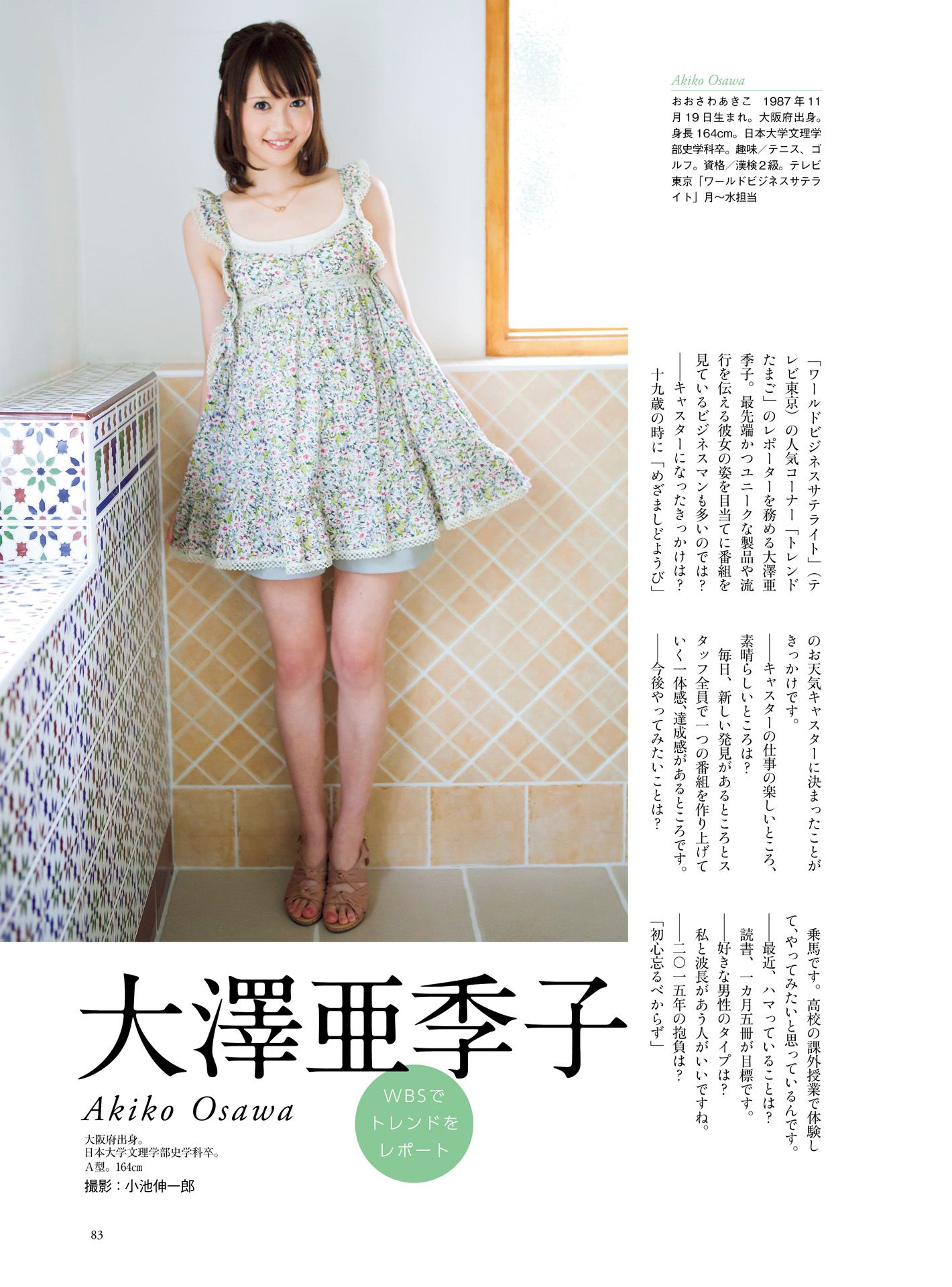 皆藤愛子/小林麻耶/岡副麻希/美馬怜子《原色美人キャスター大図鑑2015》 [PB]