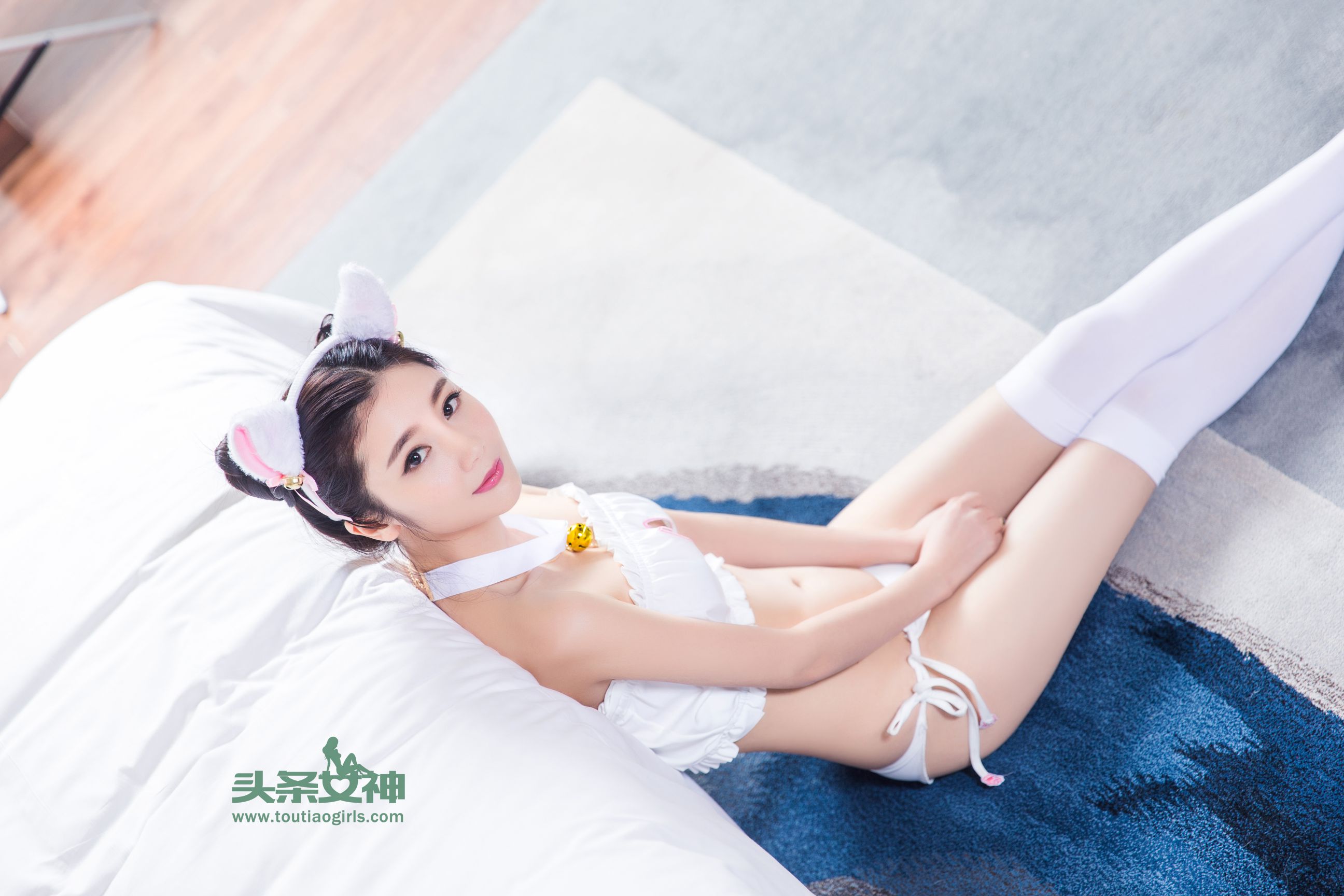 小鱼/苏凉《我是萌宠 可爱小猫猫》 [头条女神]