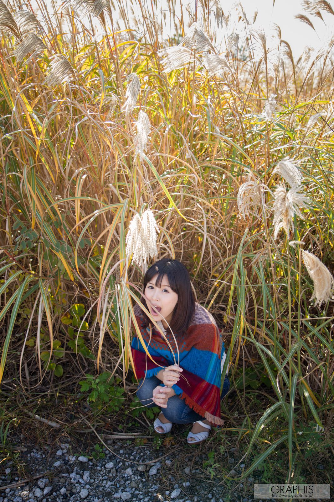 葵つかさ/葵司《Careless Grace》 [Graphis] Gals