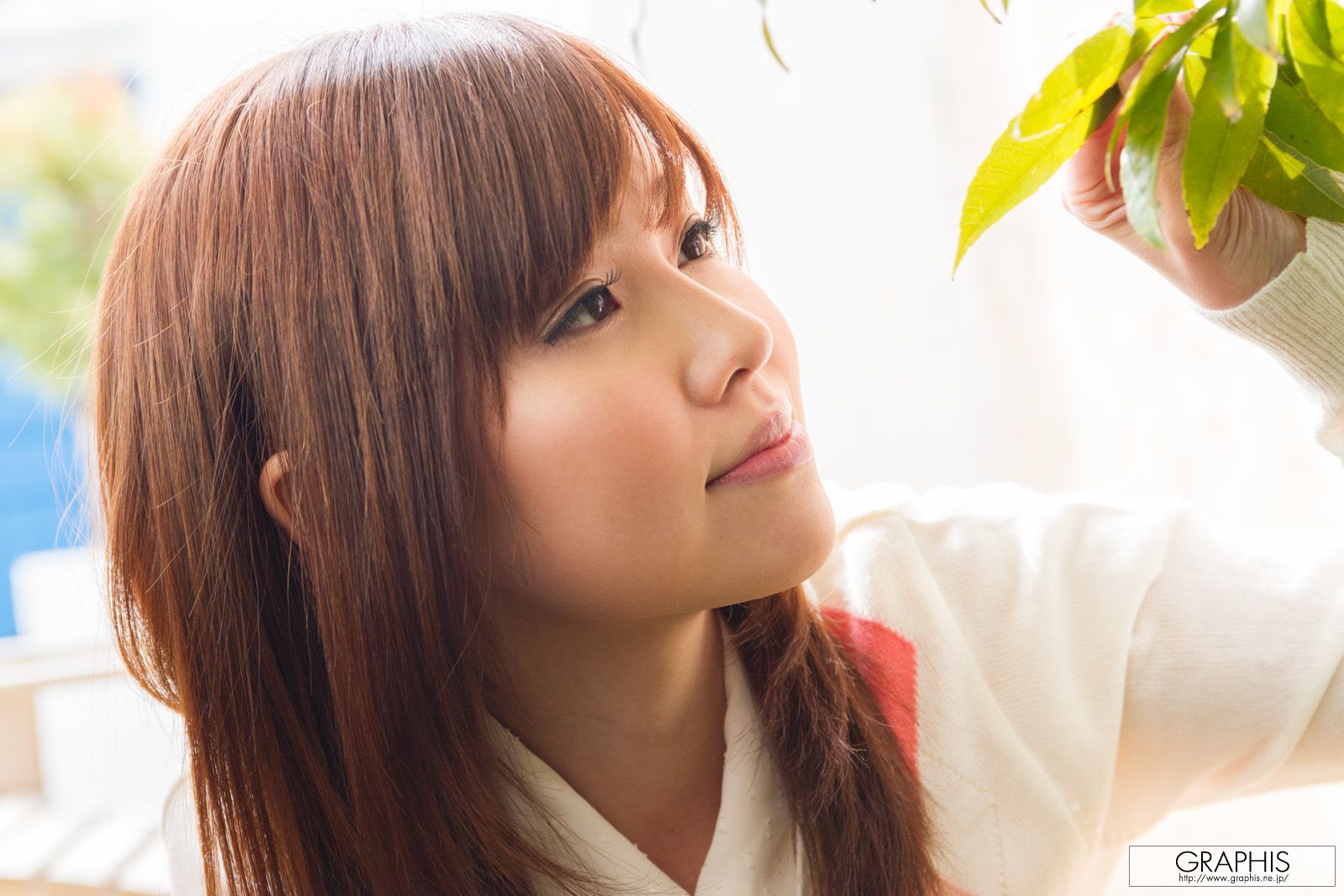 Eichi Hoshikawa 星川英智 [Graphis] First Gravure 初脱ぎ娘