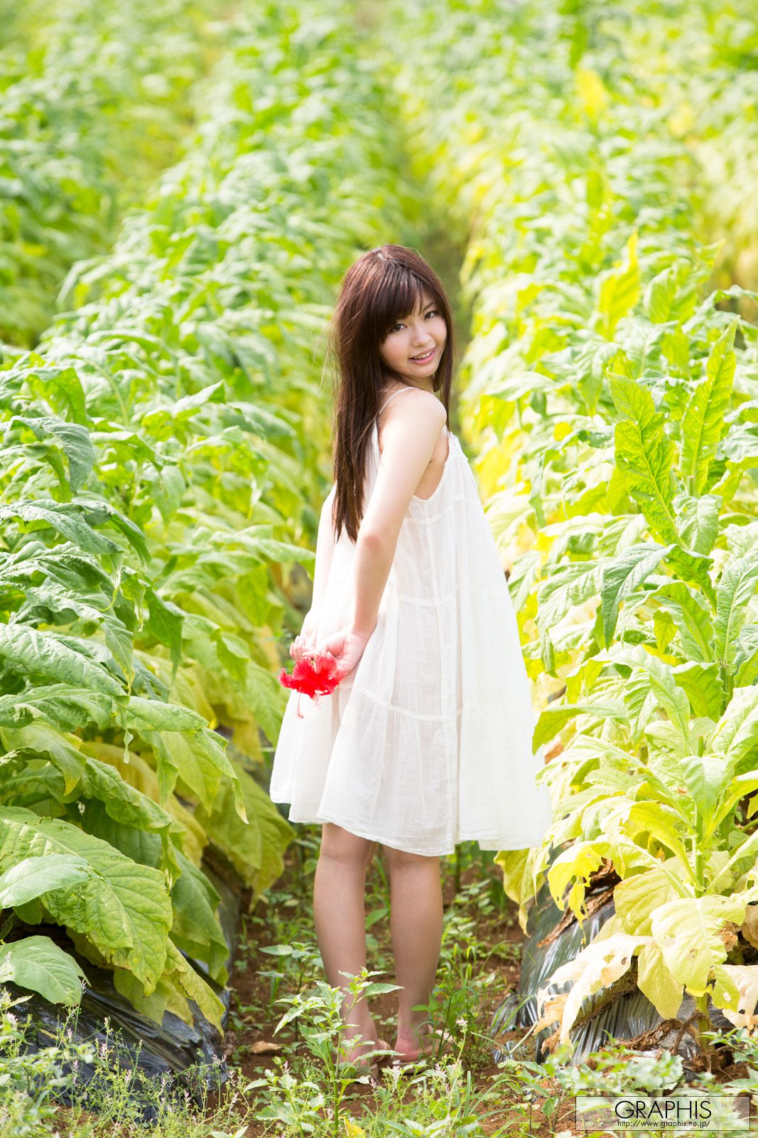 葉山めい/叶山芽衣 [Graphis] First Gravure 初脱ぎ娘