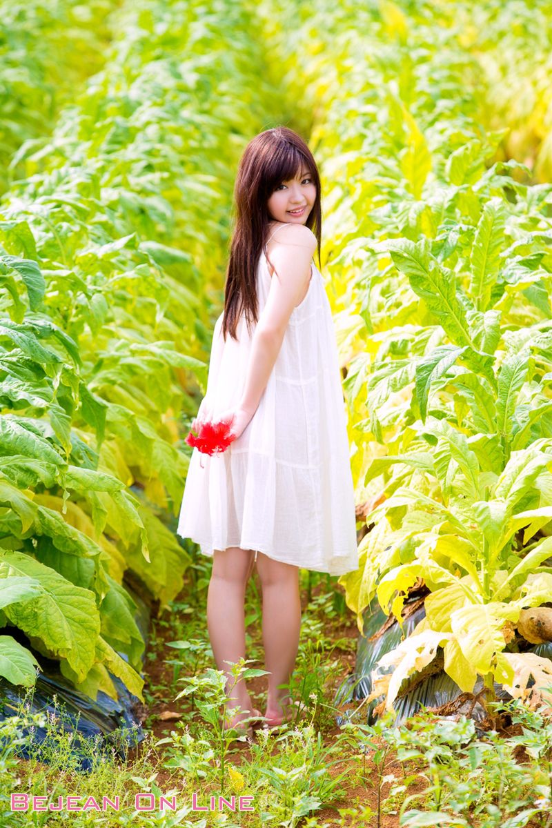 Special スペシャルグラビア 葉山めい/叶山芽衣 [Bejean On Line]