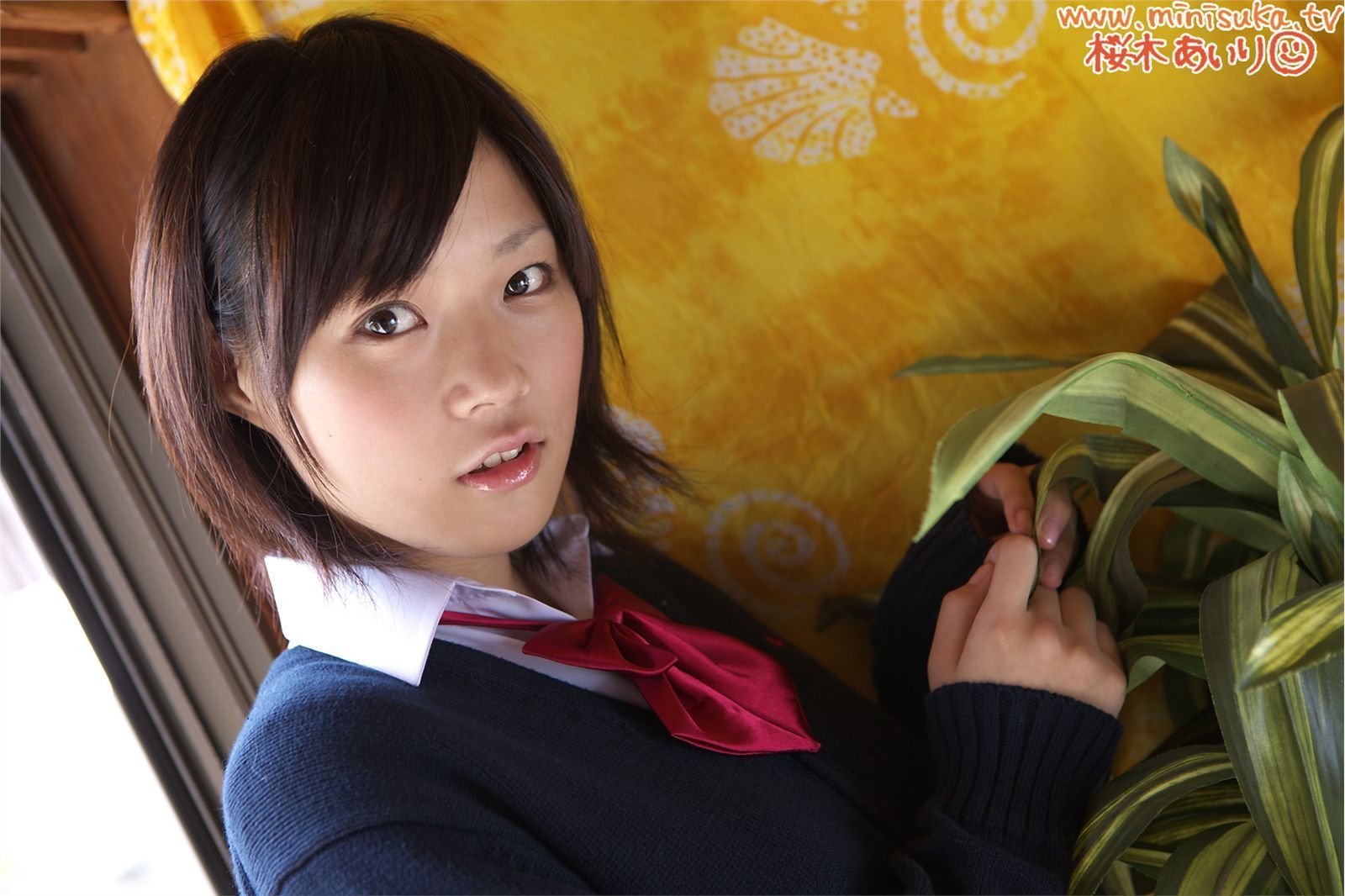 桜木あいり Airi Sakuragi 现役女子高生 [Minisuka.tv] Regular Gallery
