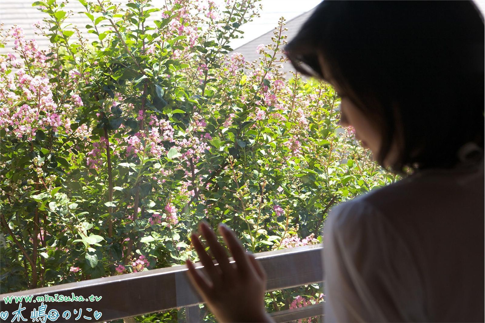 木嶋のりこ Noriko Kijima 第三部 [Minisuka.tv] 现役女子高生