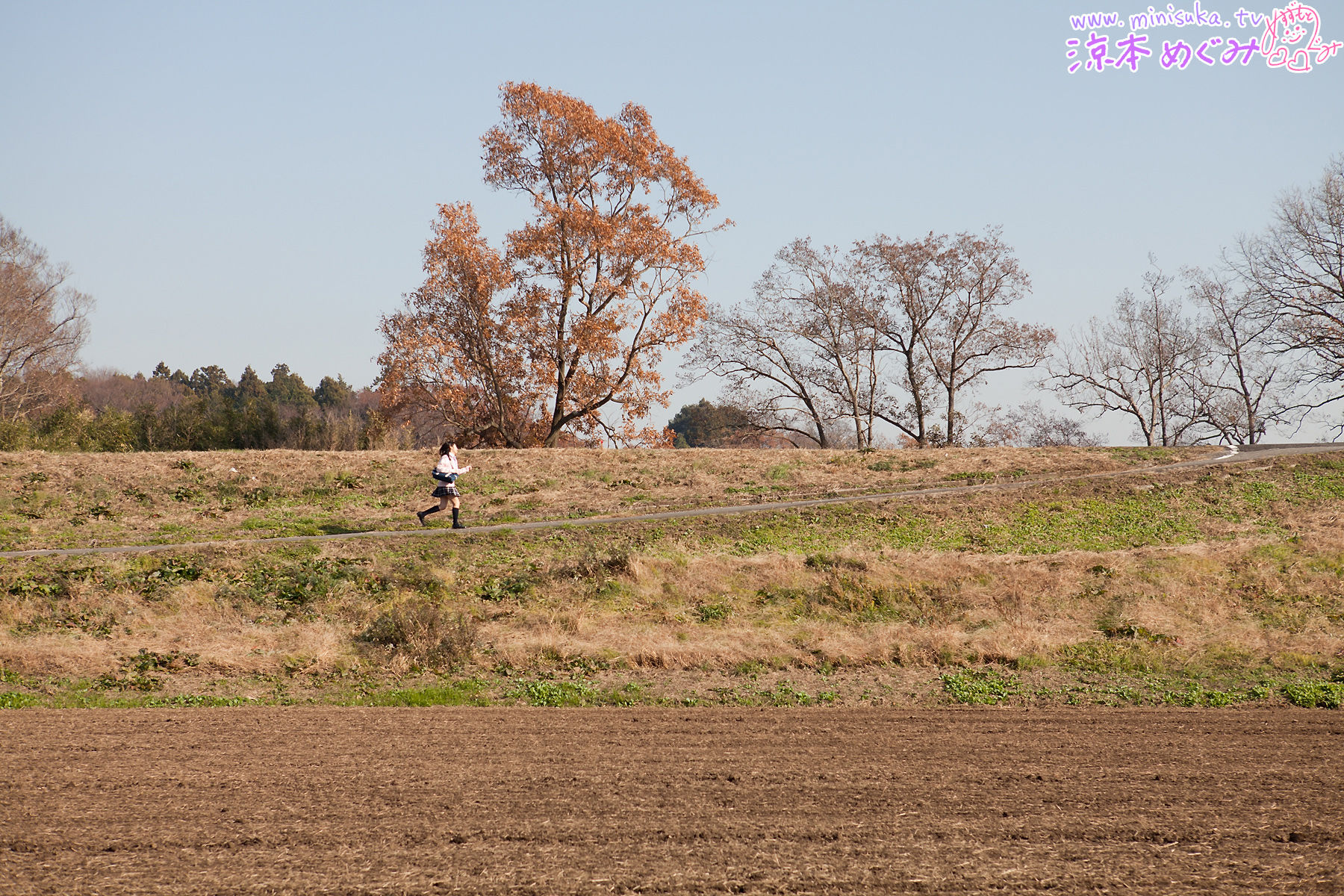 凉本めぐみ/凉本惠 Megumi Suzumoto [Minisuka.tv] Dream Gallery