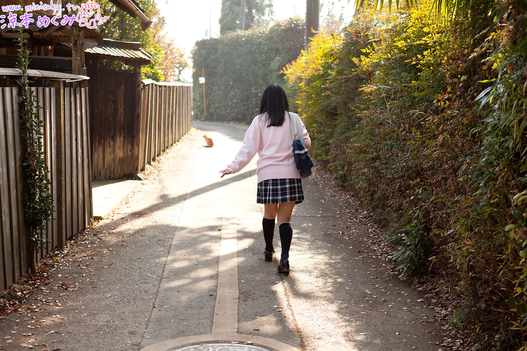 凉本めぐみ/凉本惠 Megumi Suzumoto [Minisuka.tv] Dream Gallery
