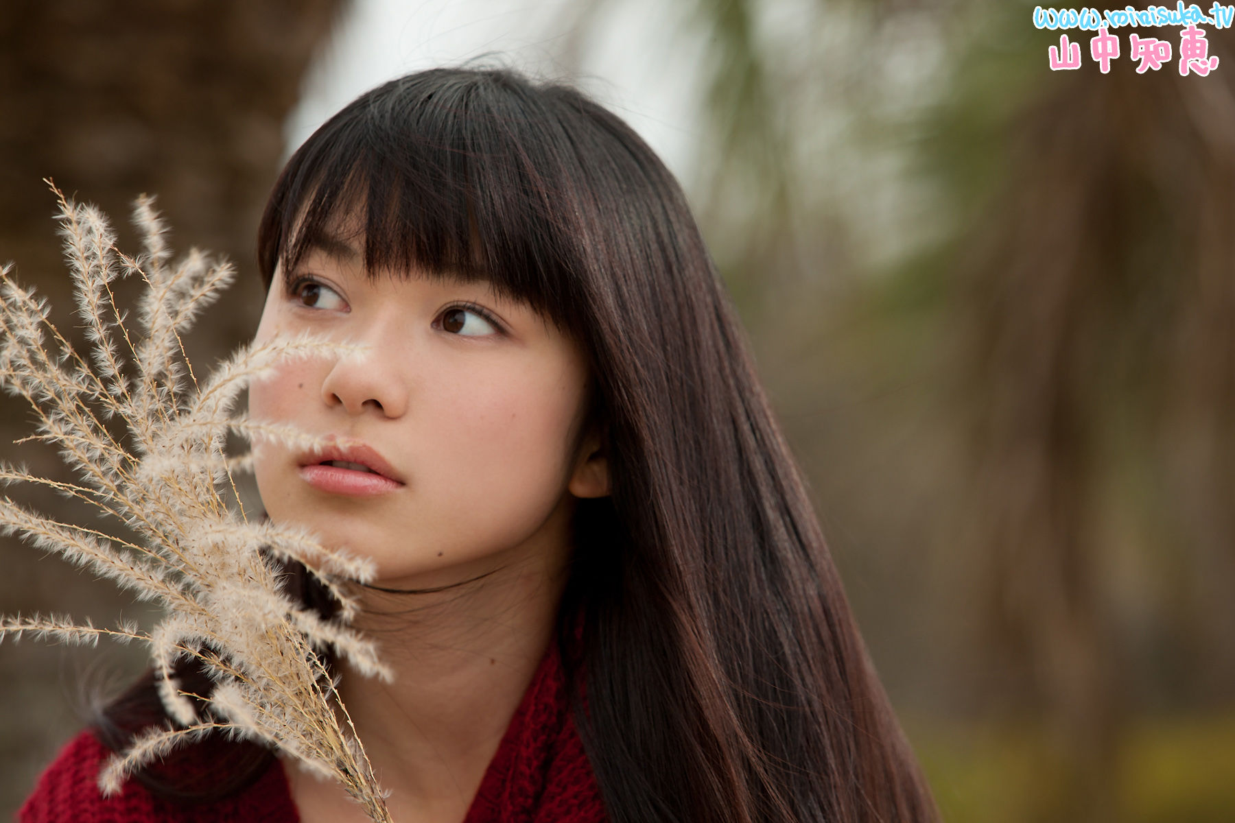 山中知恵 Tomoe Yamanaka 第三部 [Minisuka.tv]