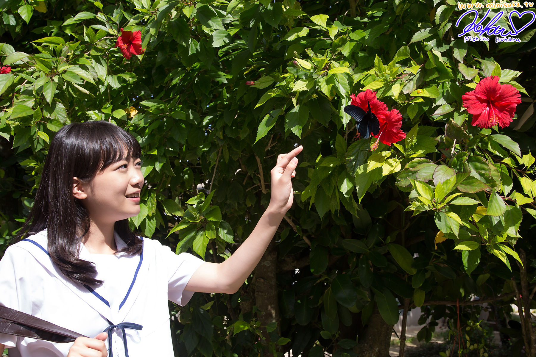 西野小春 Koharu Nishino 第十四部 Limited Gallery [Minisuka.tv]