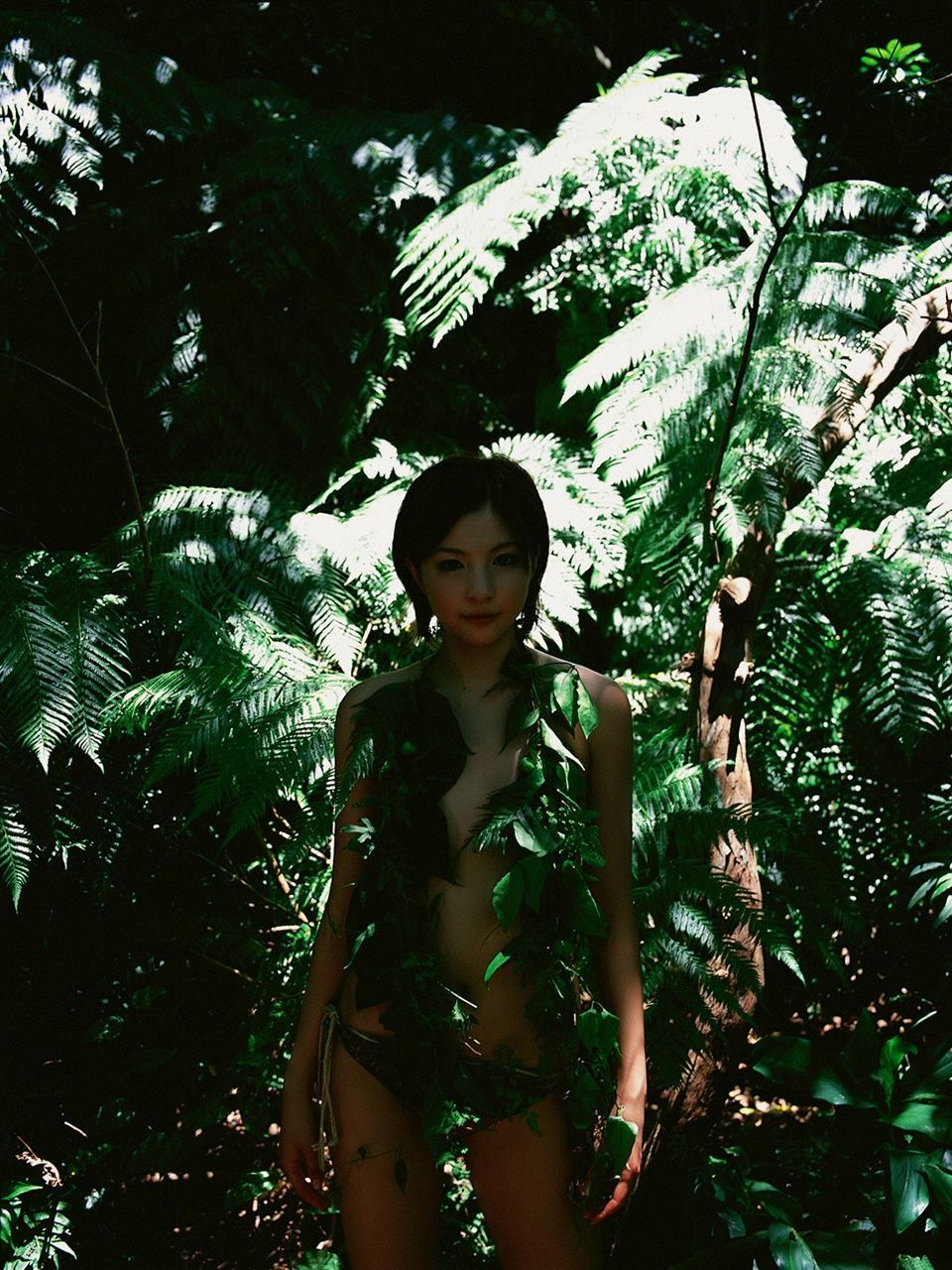 長崎莉奈《LIGHT IN THE NATURE》 [VYJ]