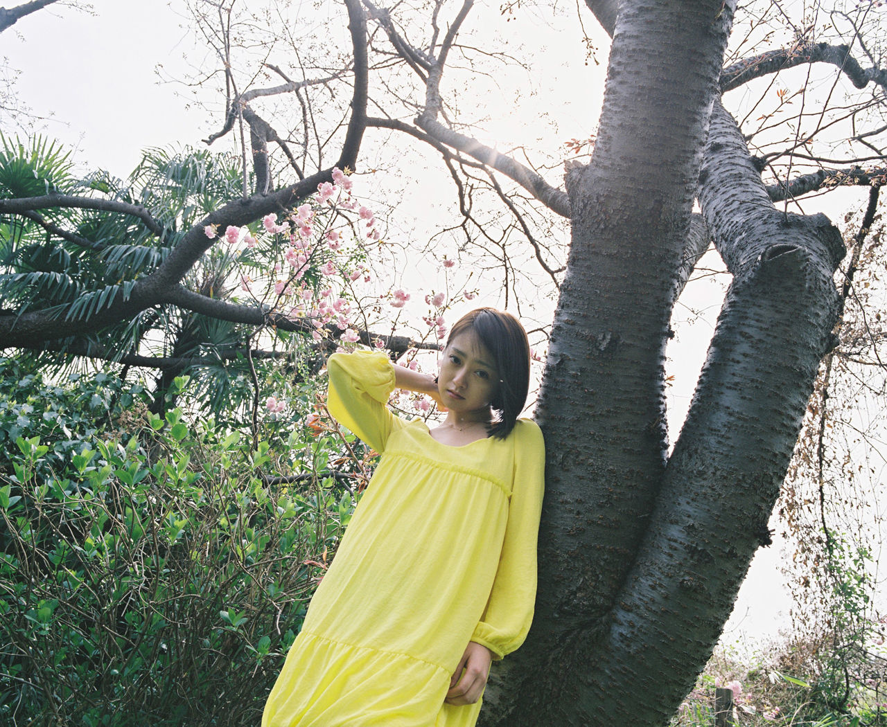 安達祐実 Adachi Yumi [WPB-net] No.161